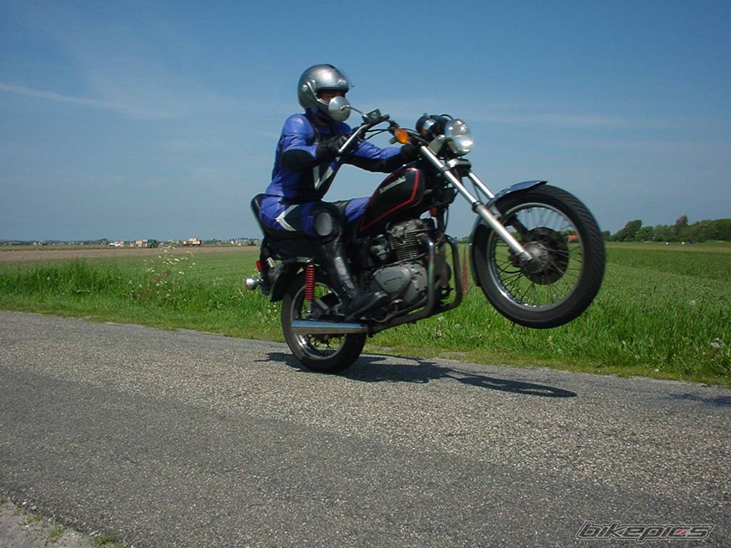 Photo 229296