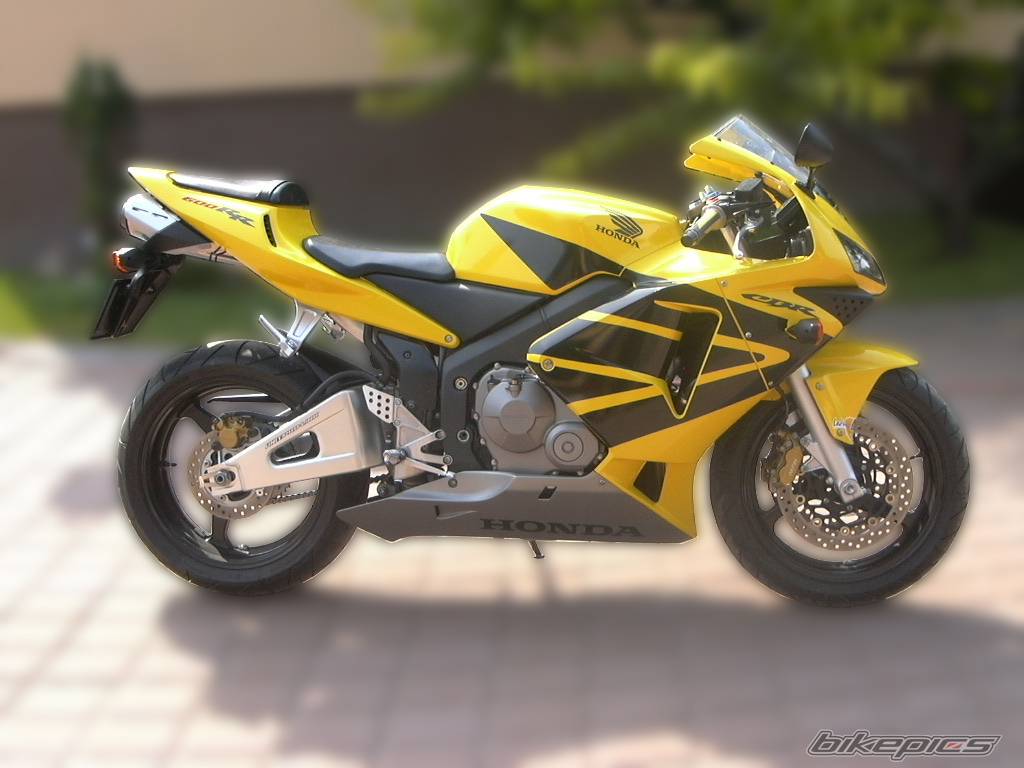 Photo 229297