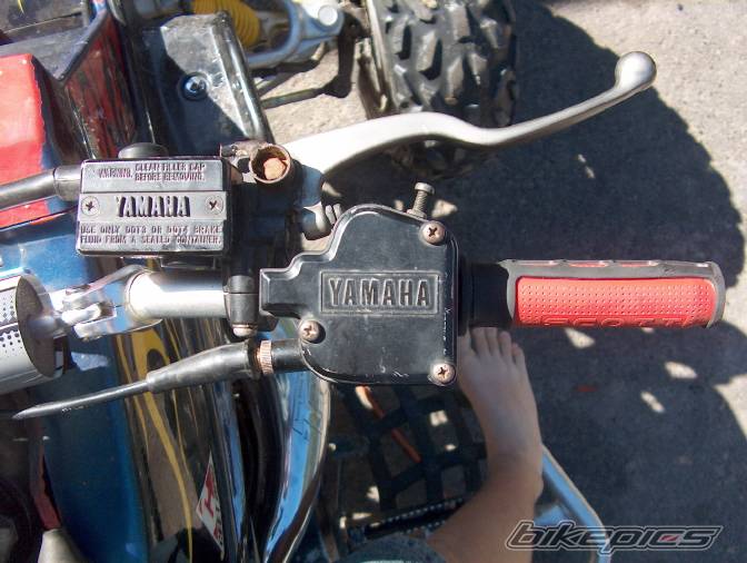 Photo 229298
