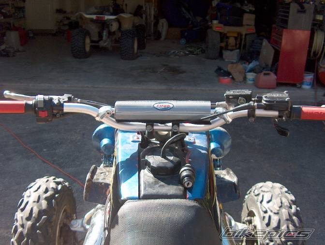 Photo 229299