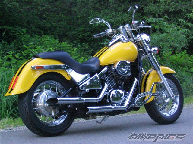 Photo 229303