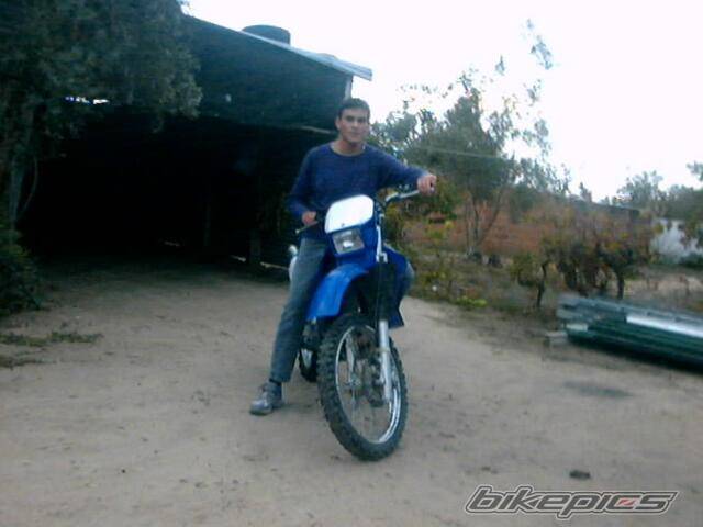 Photo 229314