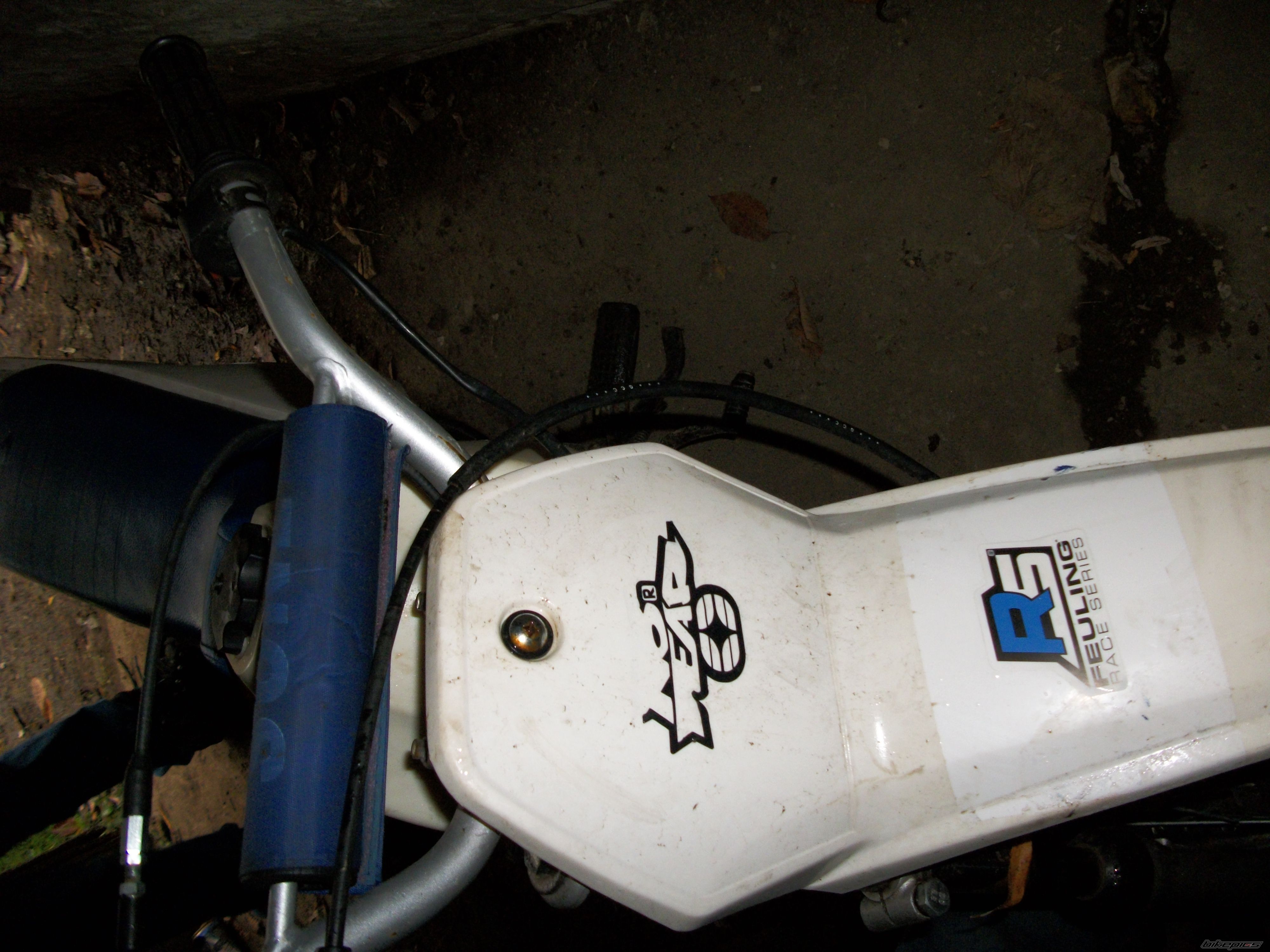 Photo 2293163