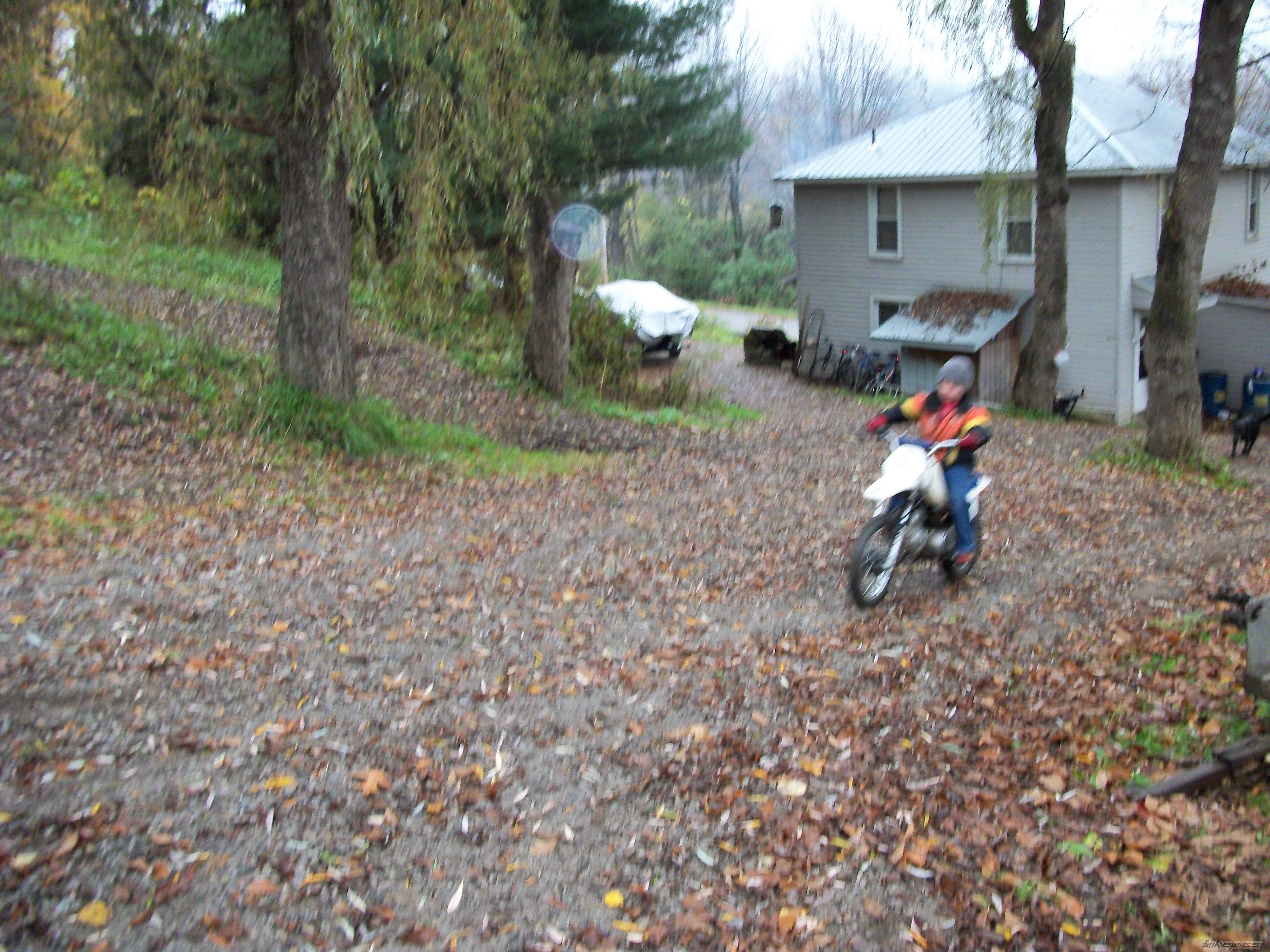 Photo 2293164