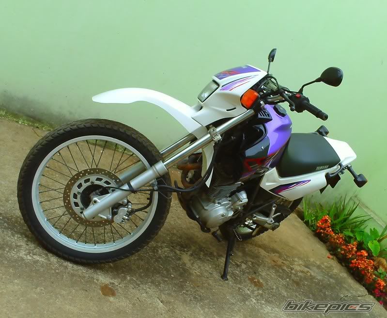 Bike Photo 2293195