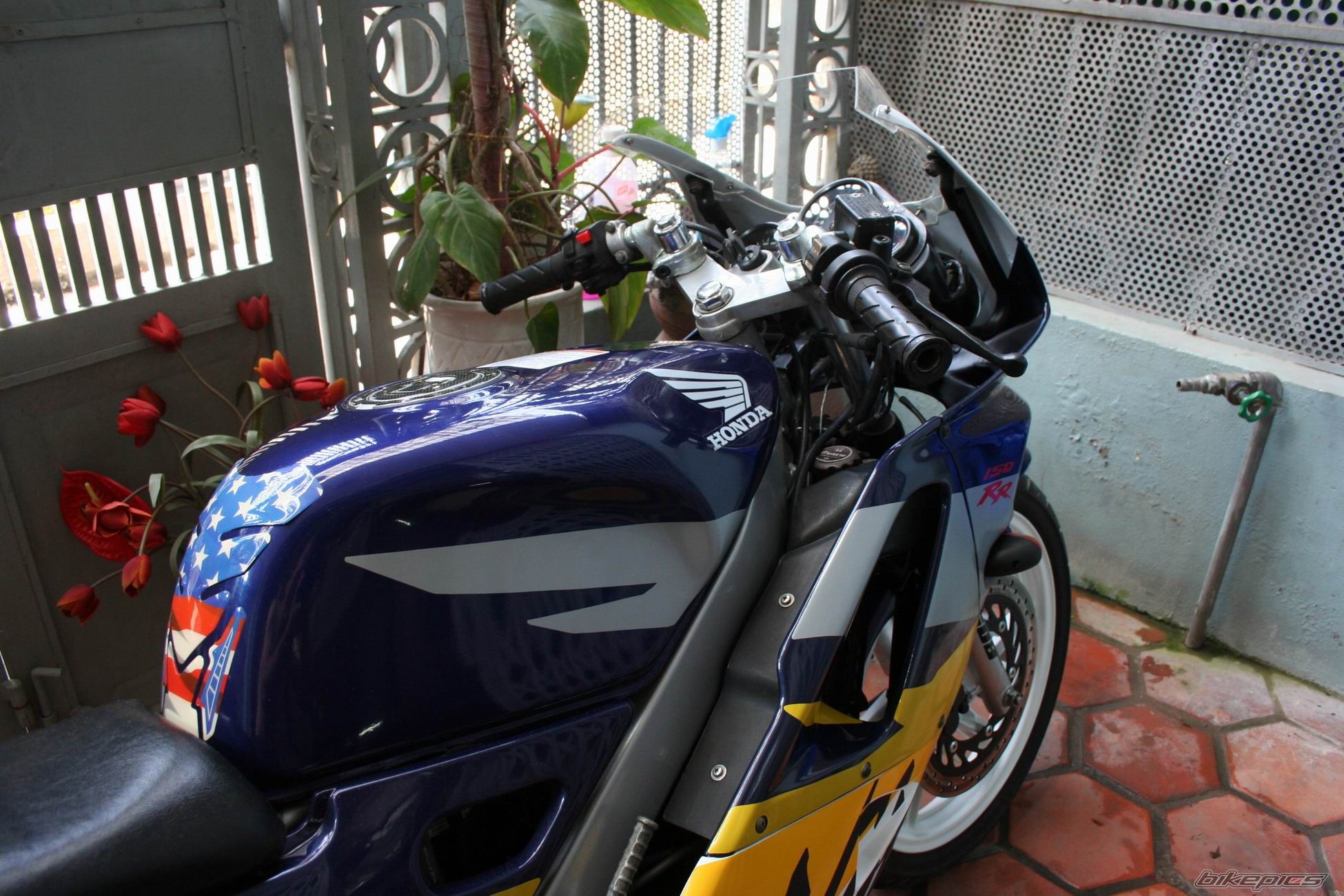 Photo 2293239