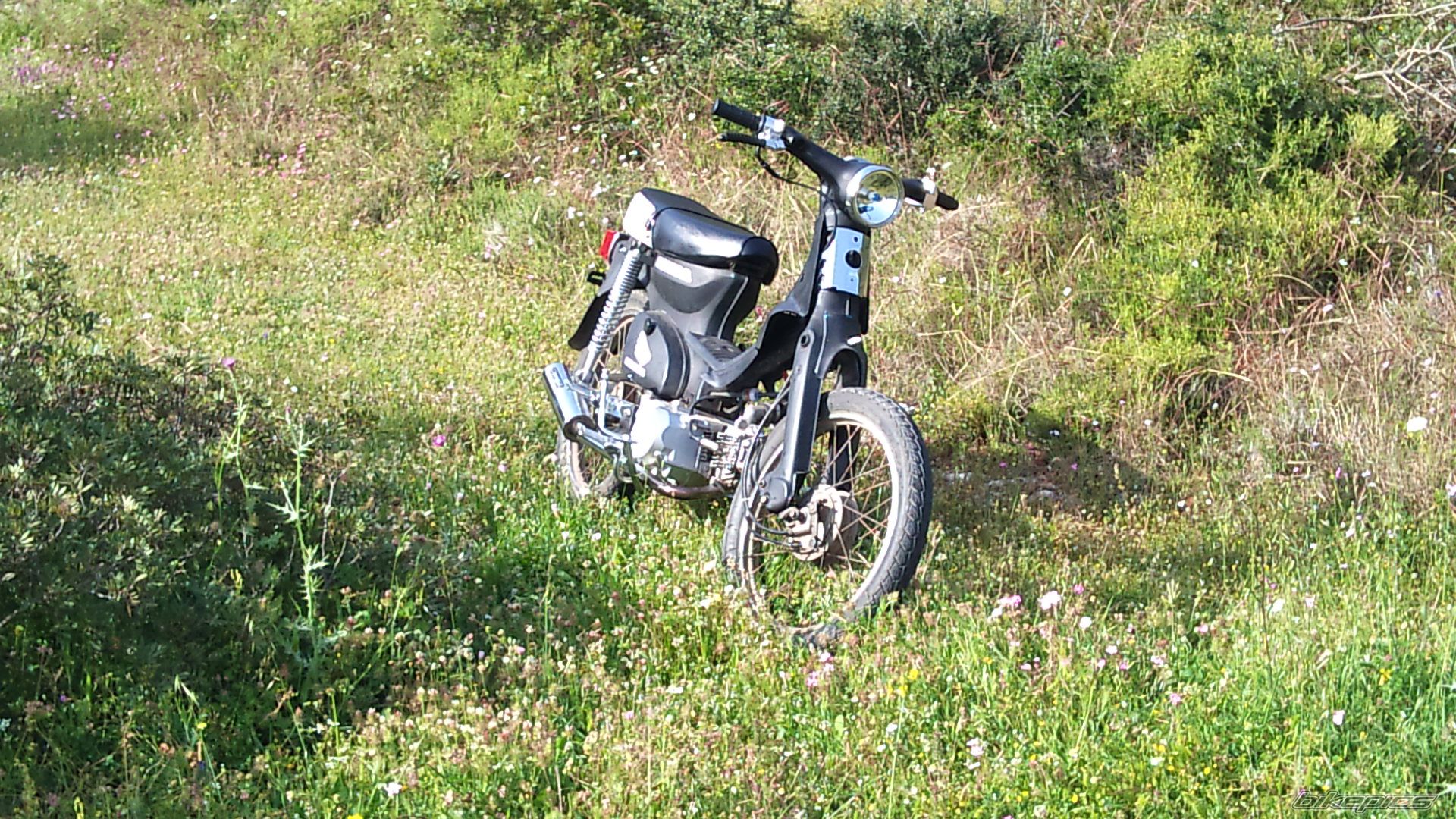 Photo 2293311