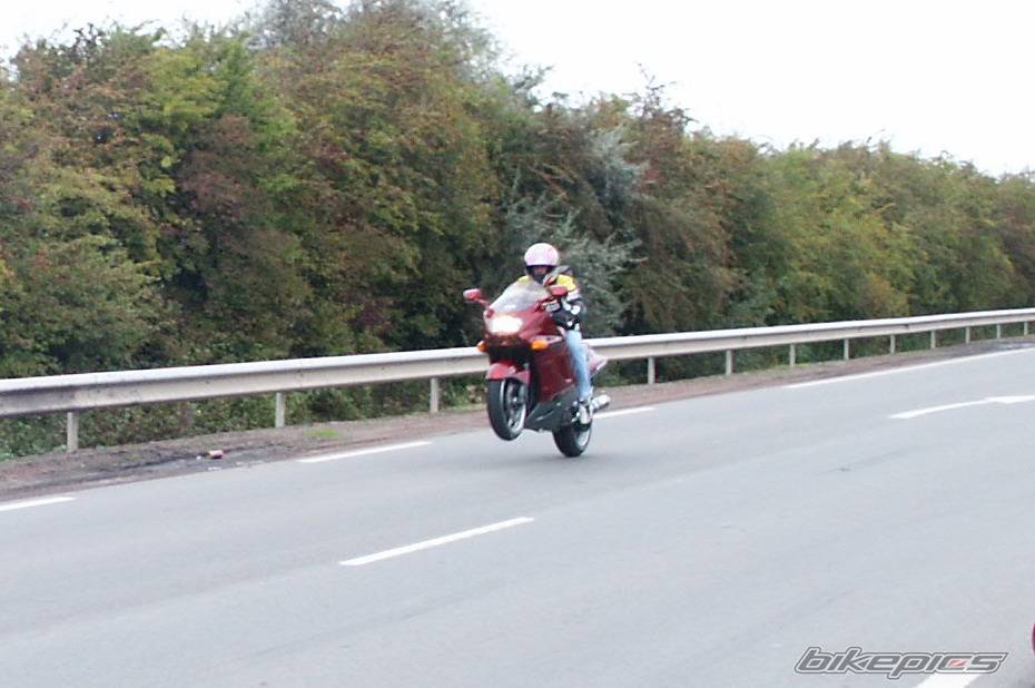 Bike Photo 229332