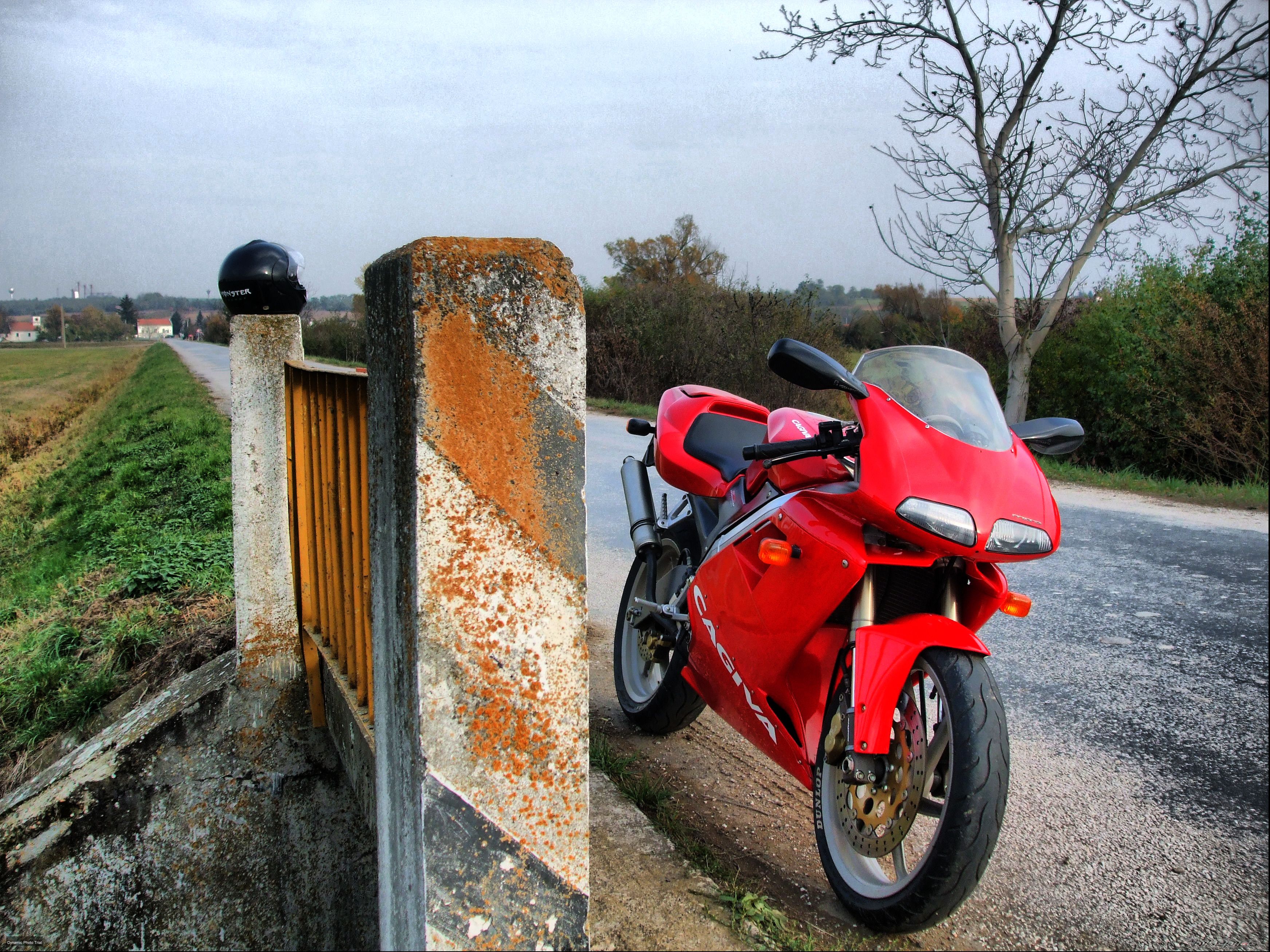 Photo 2293373