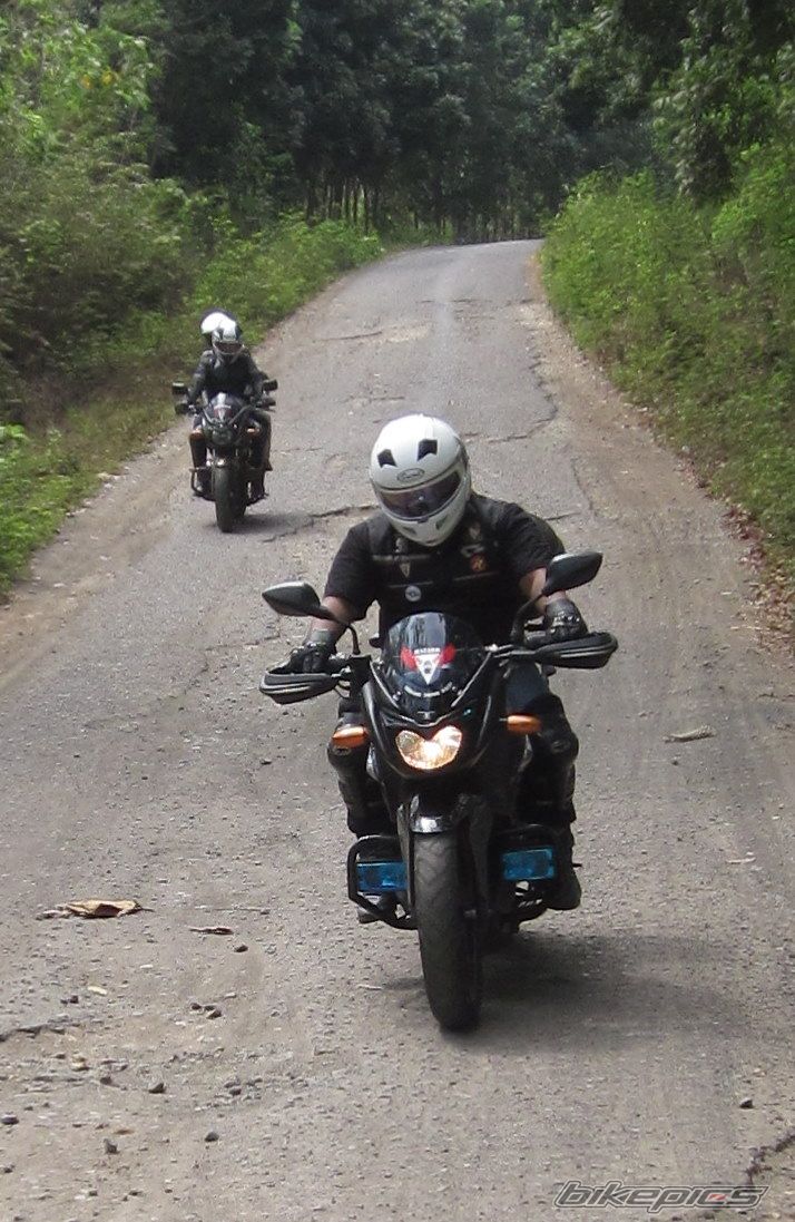 Photo 2293454