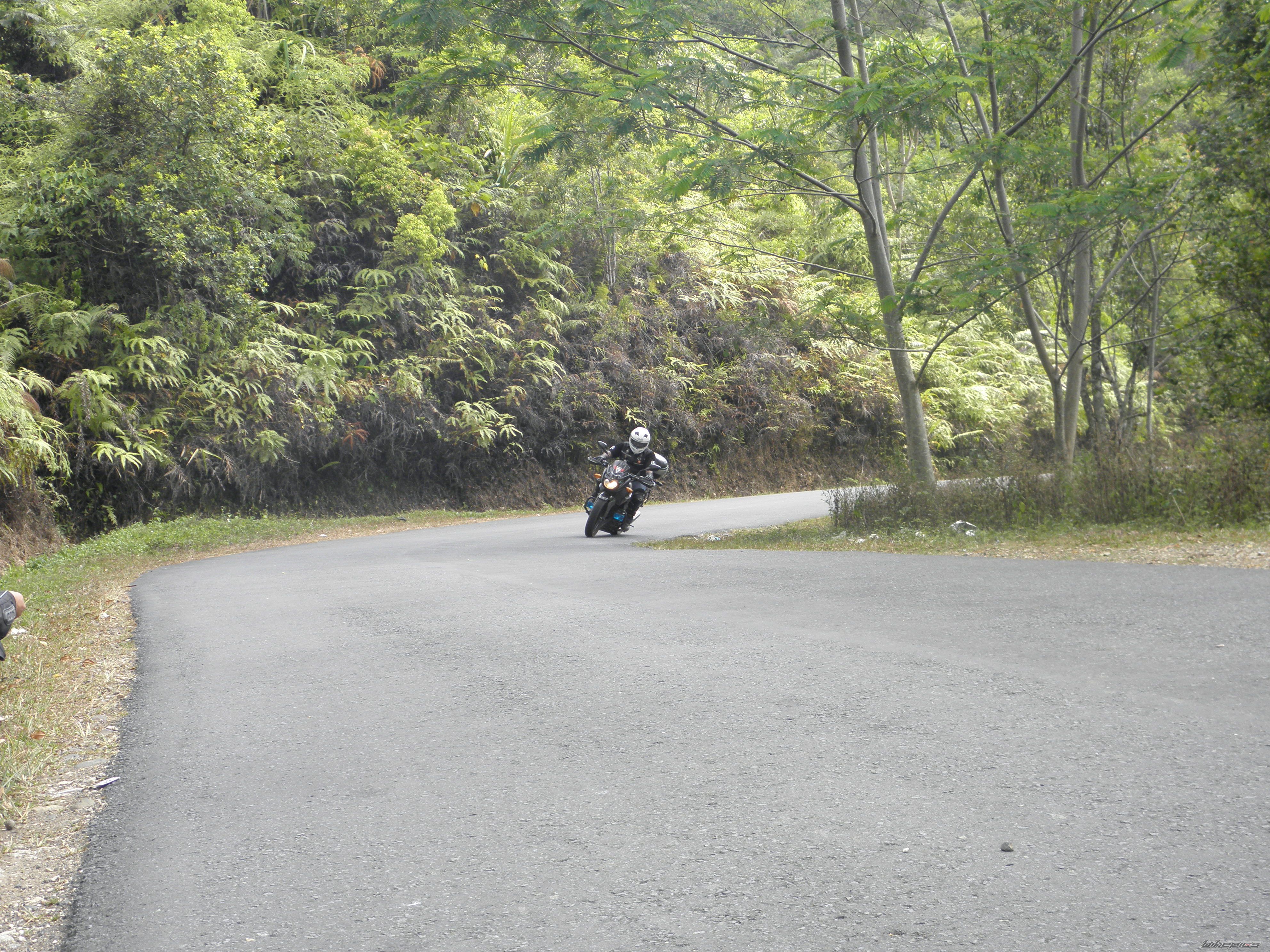 Photo 2293457