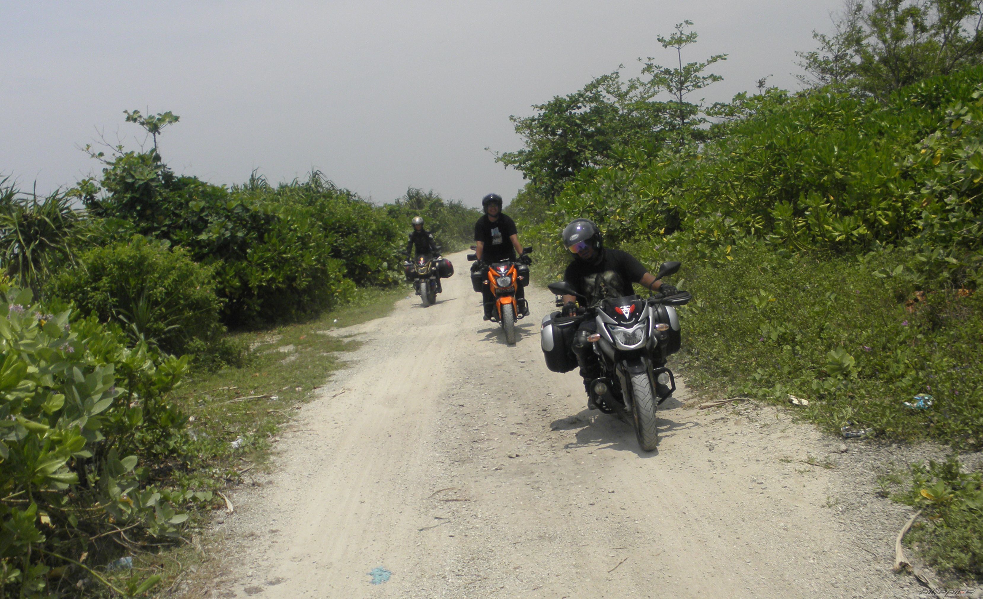 Photo 2293475