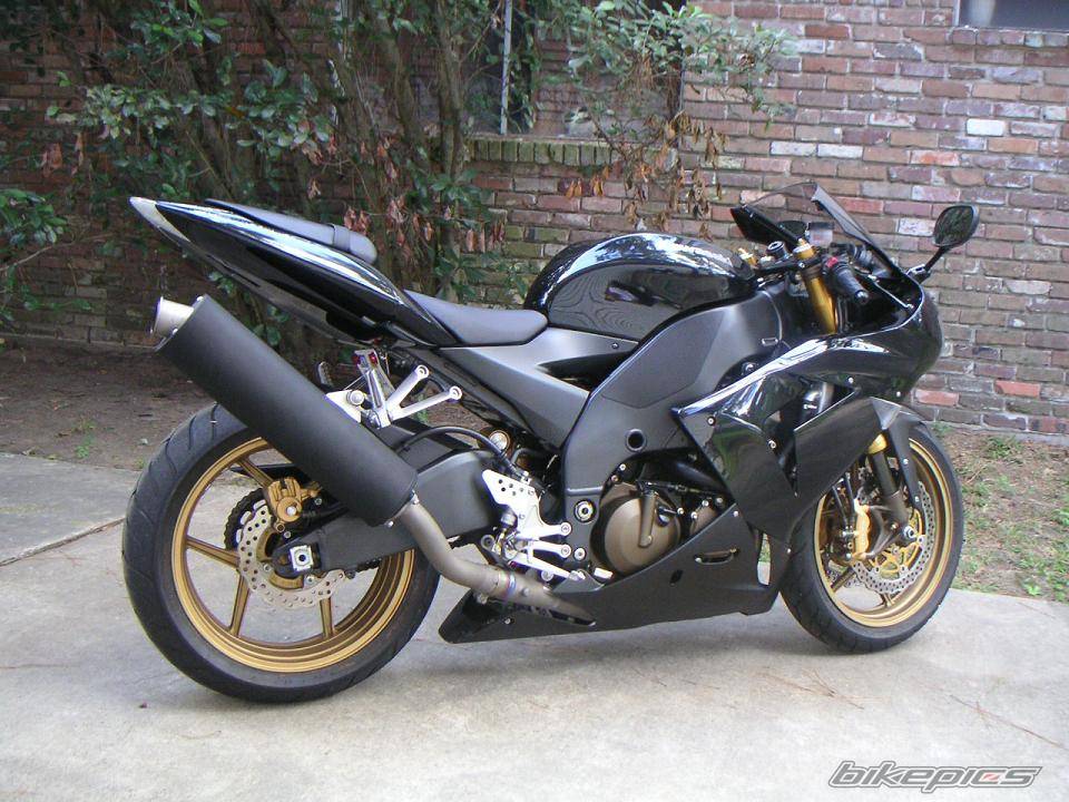Photo 229349