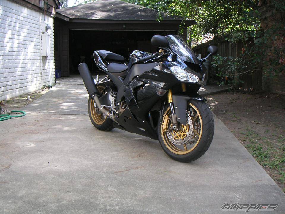 Photo 229351