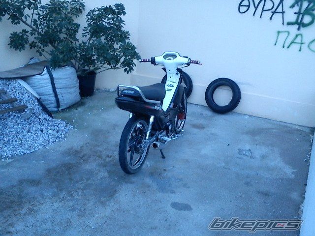 Photo 2293549