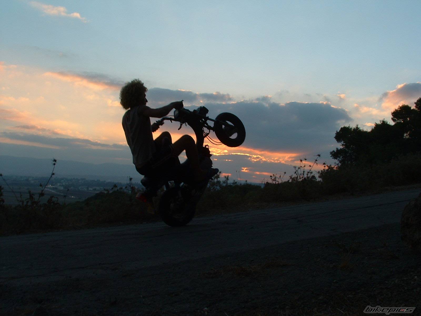 Photo 229355