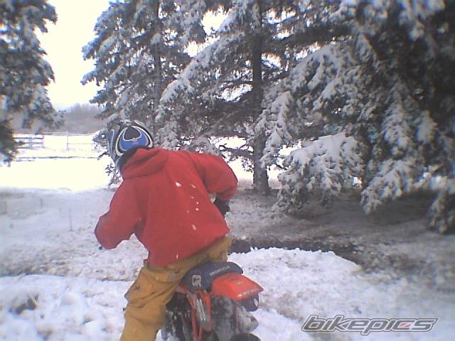 Bike Photo 229359