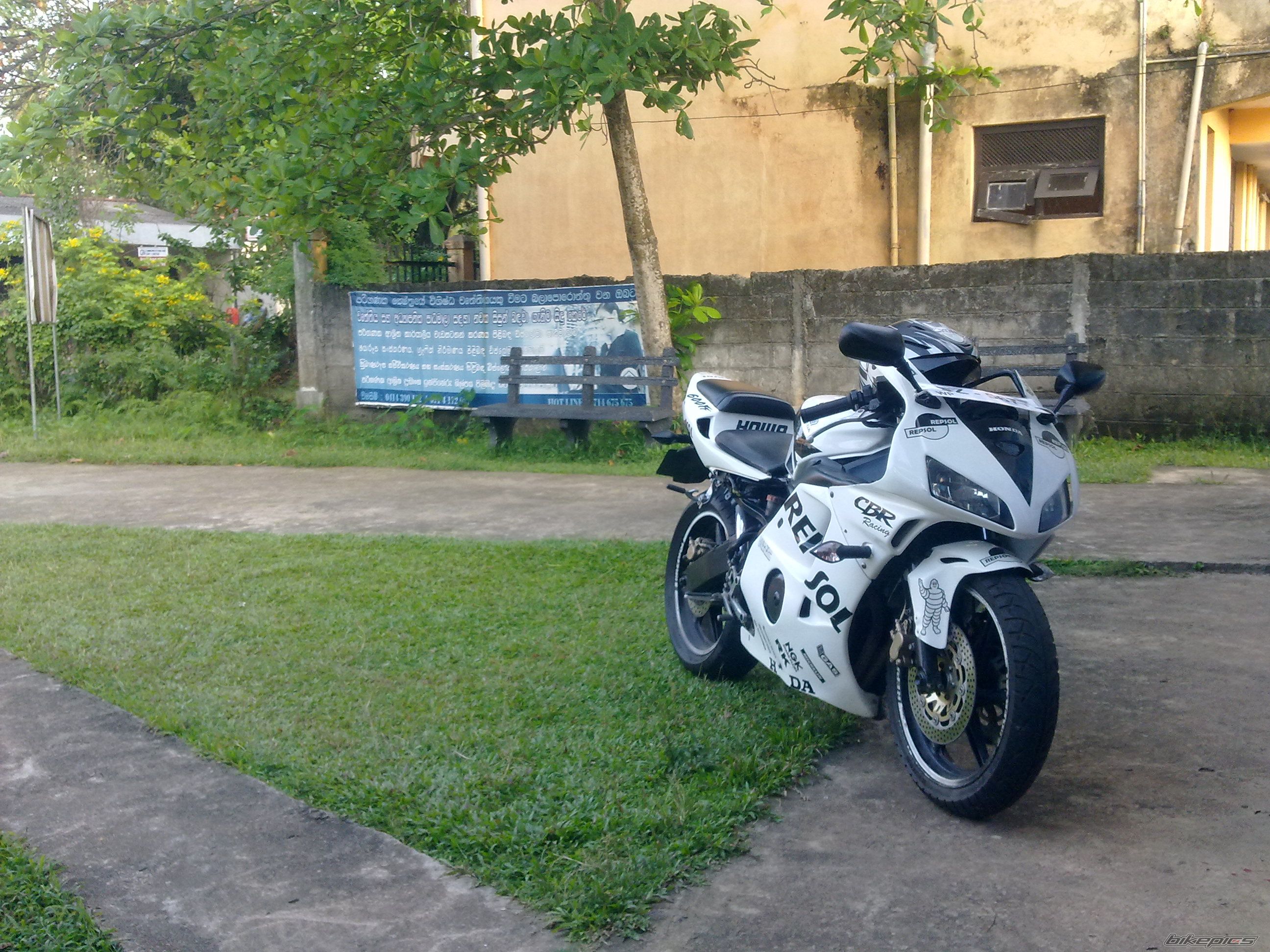 Photo 2293676