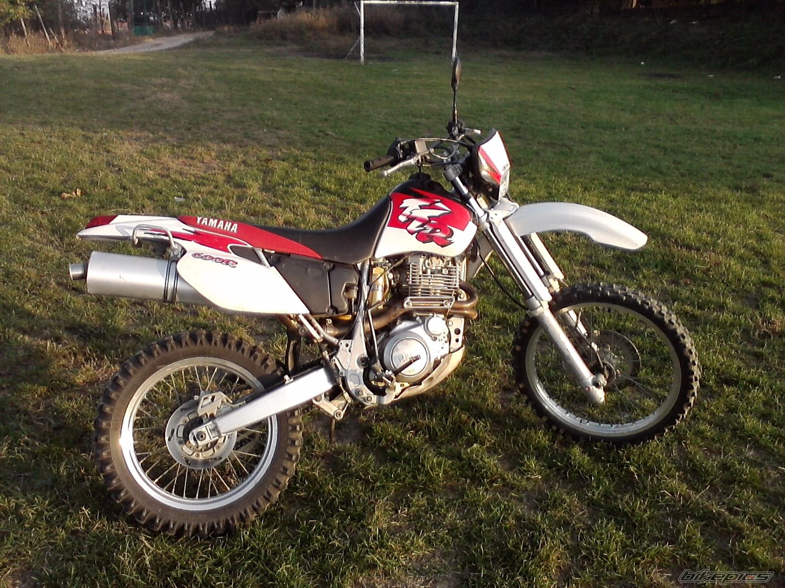 Photo 2293778