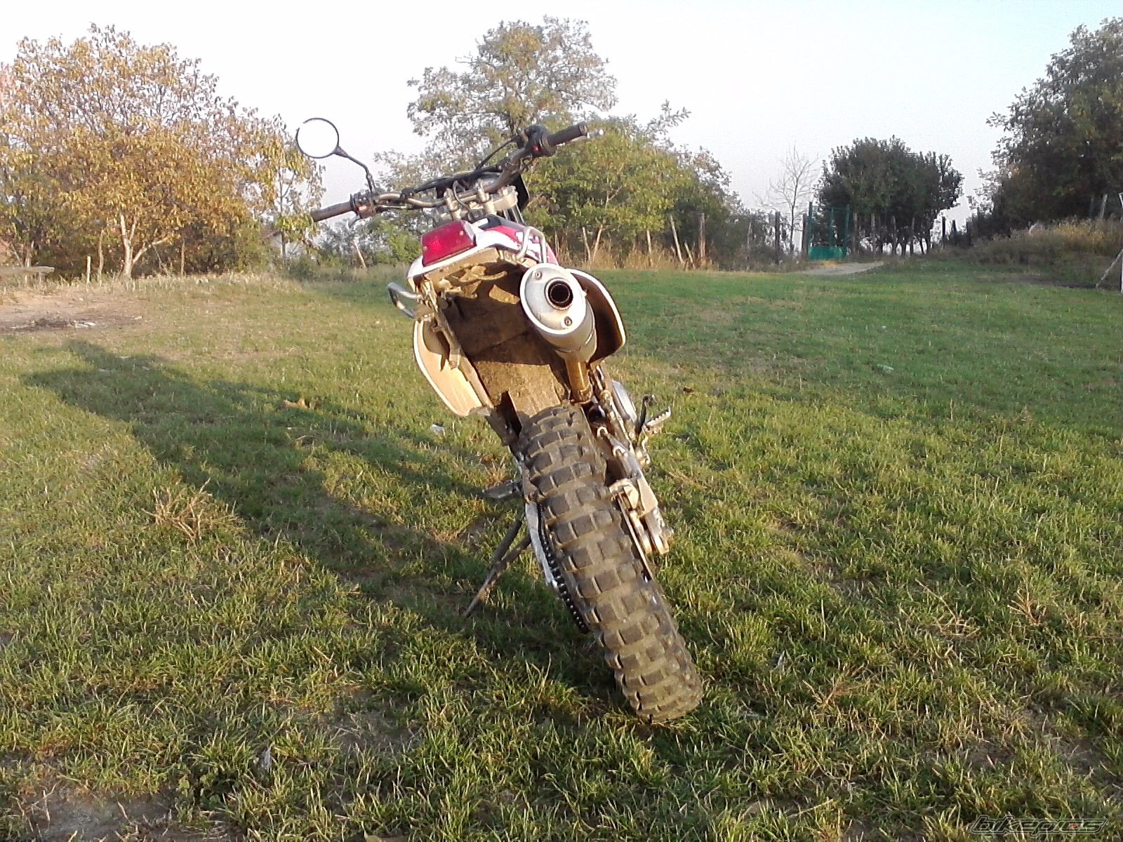Photo 2293782