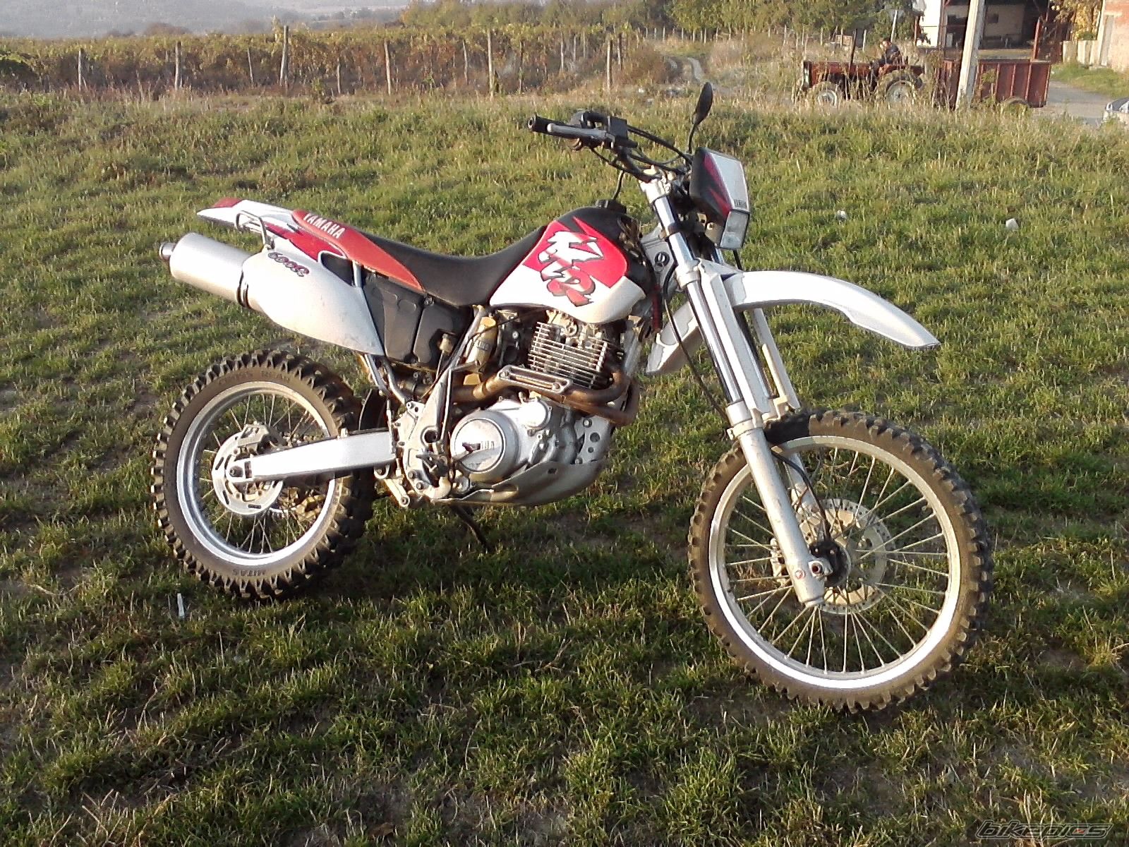 Photo 2293783