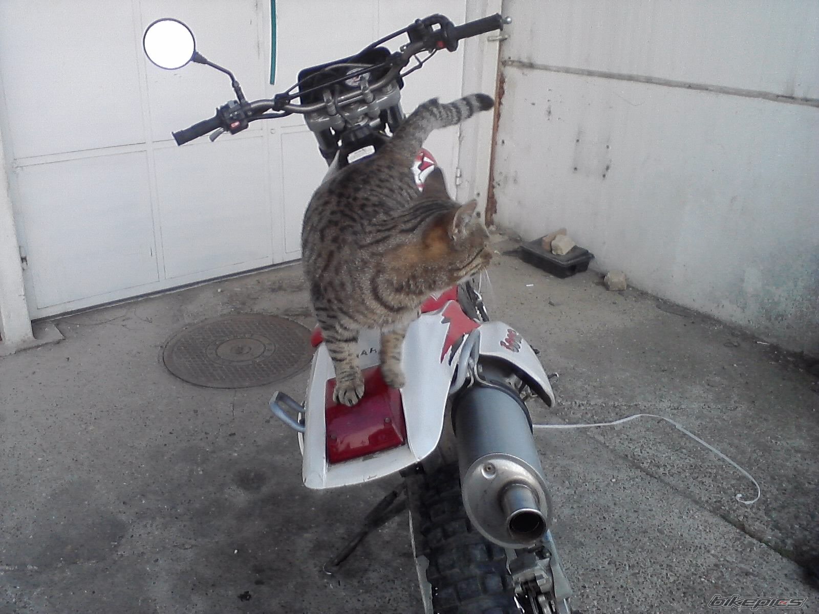 Photo 2293784