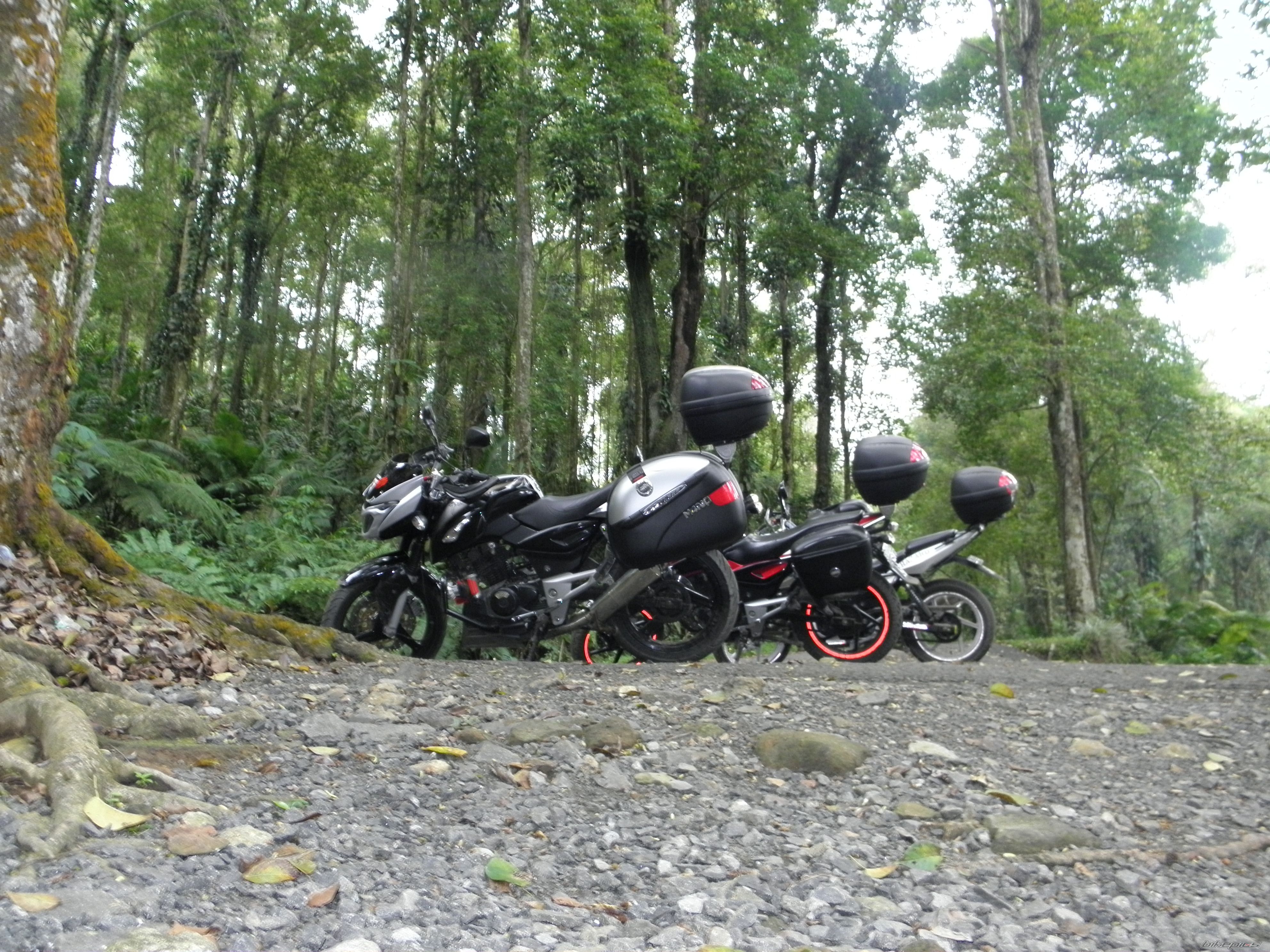 Bike Photo 2293787