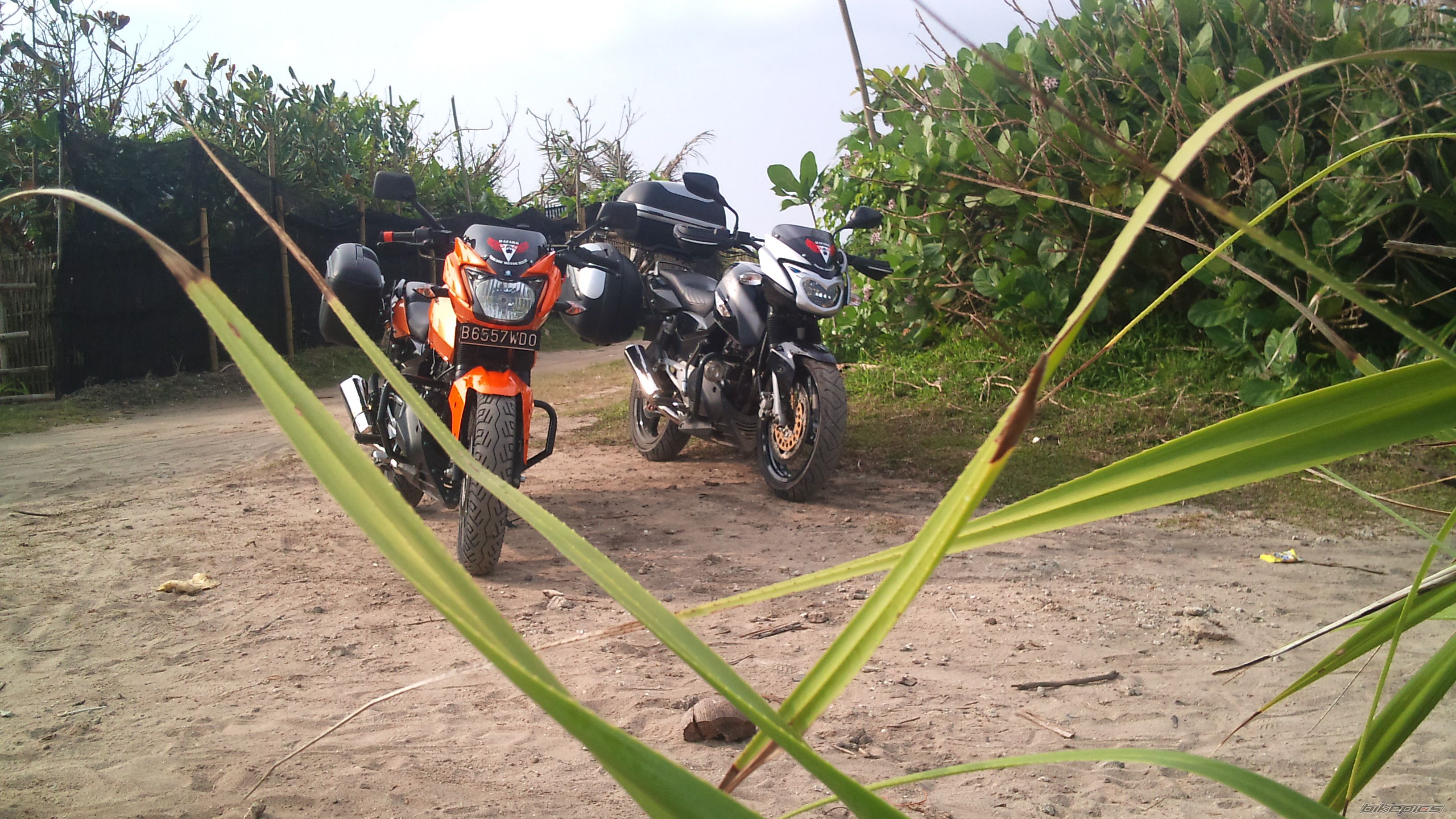 Photo 2293791