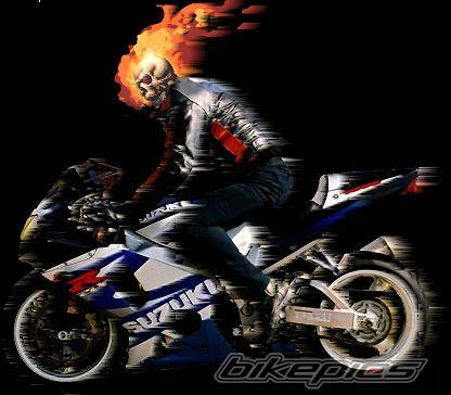 Bike Photo 229381