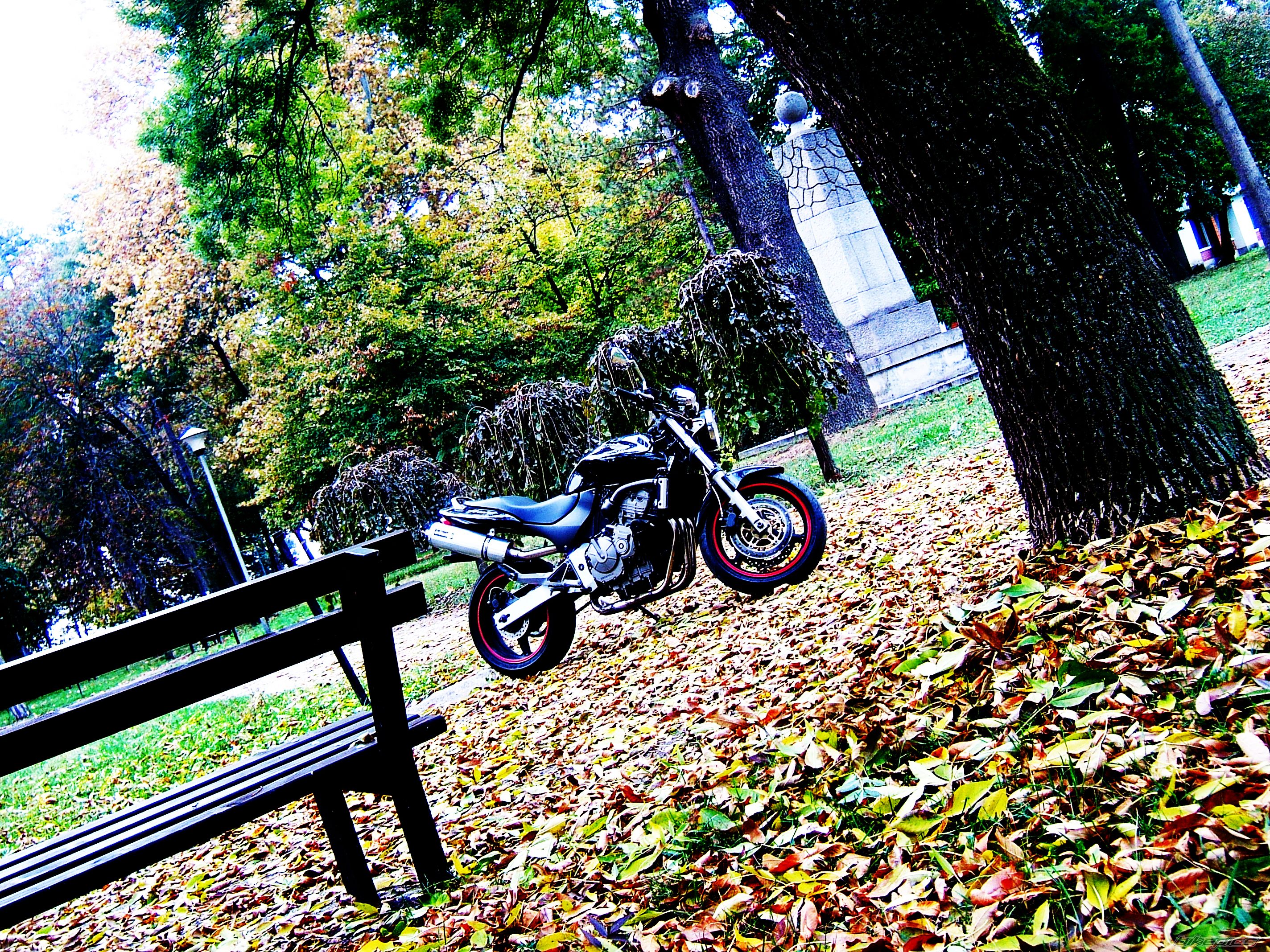 Photo 2293882