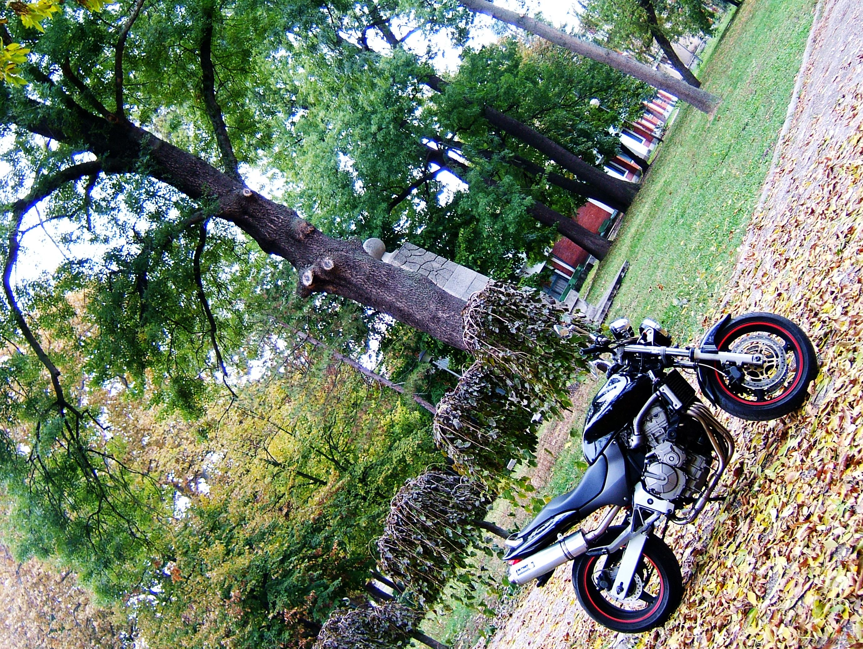 Photo 2293883