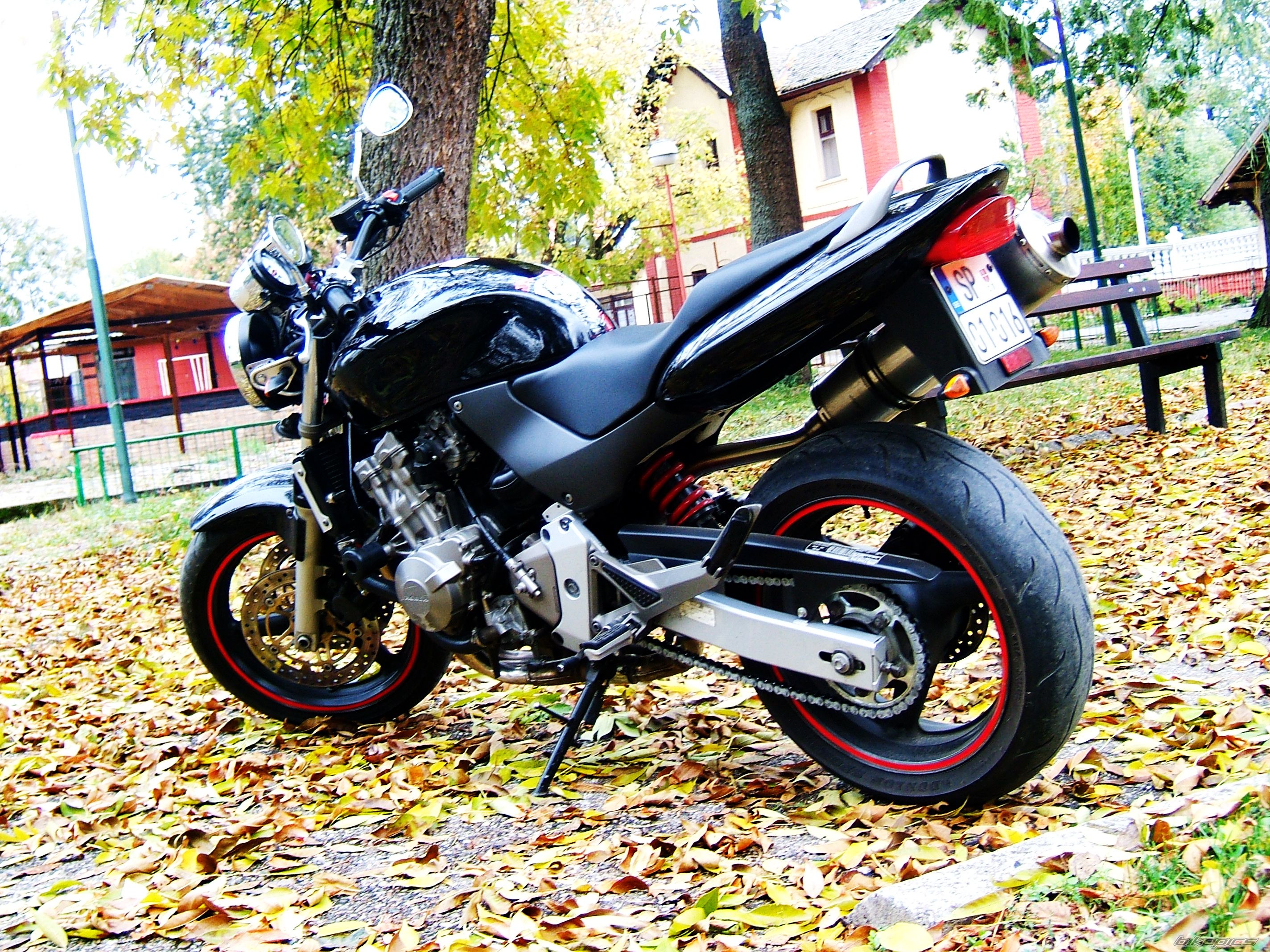 Photo 2293884