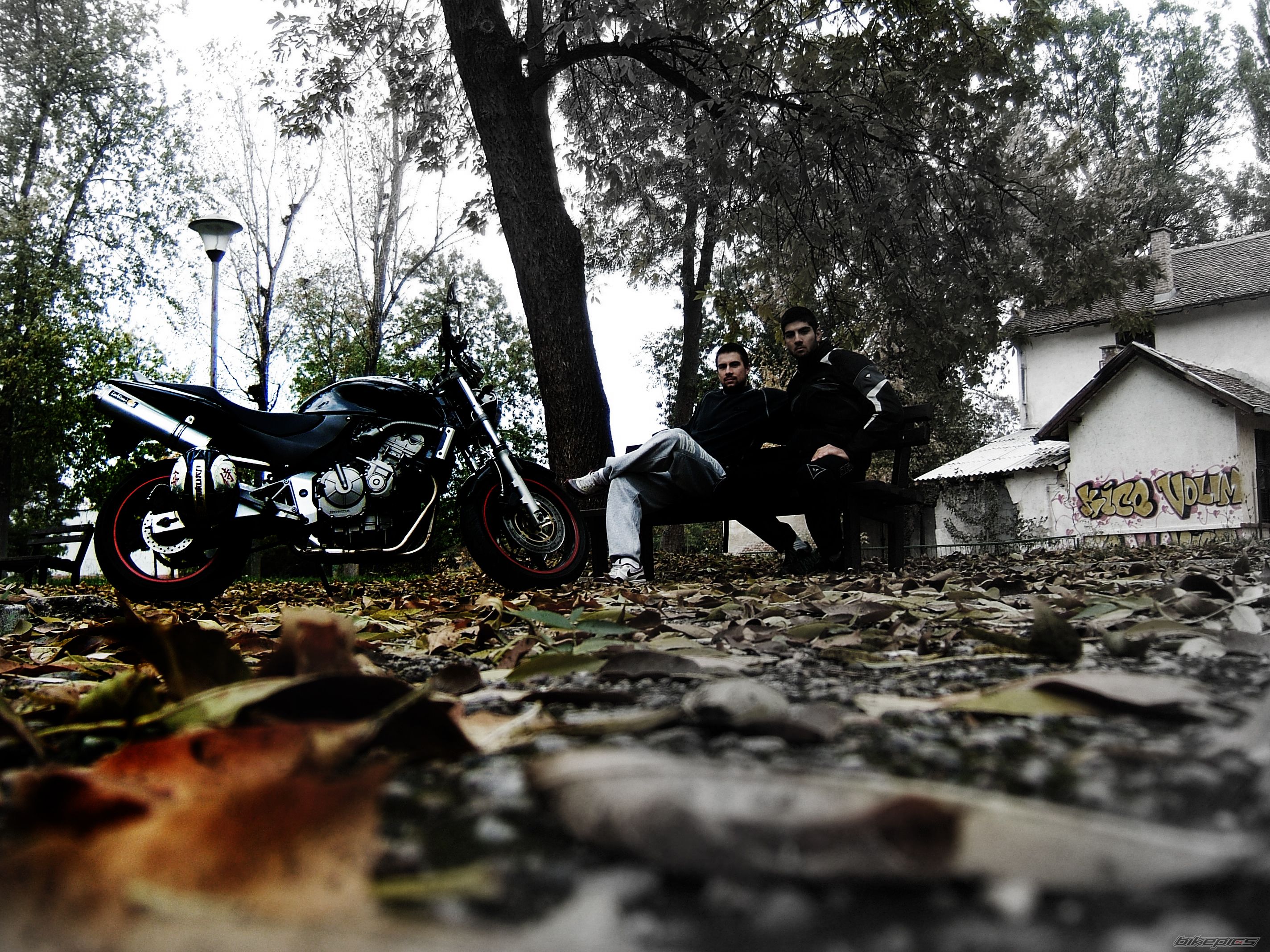 Photo 2293887