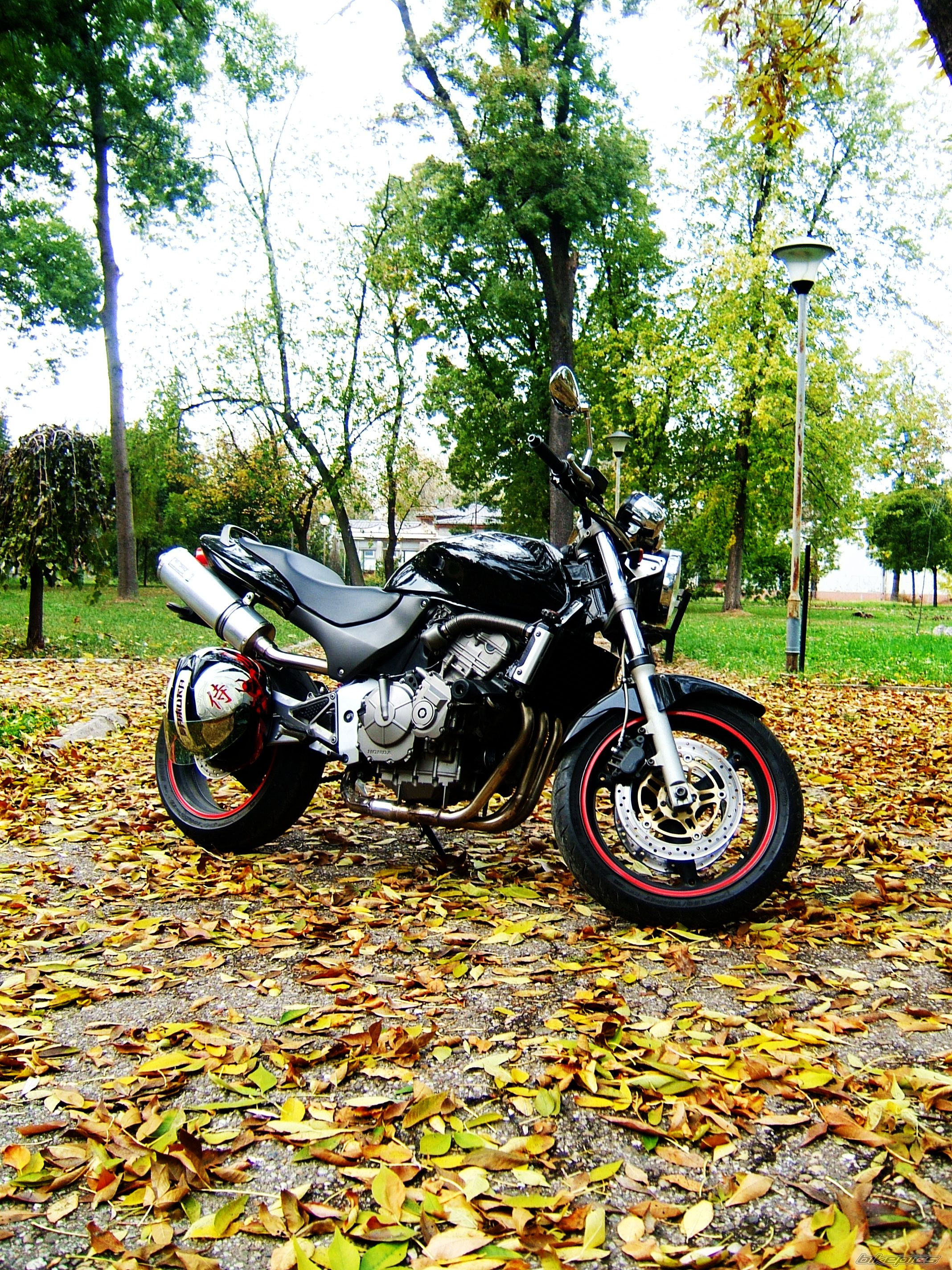 Photo 2293888