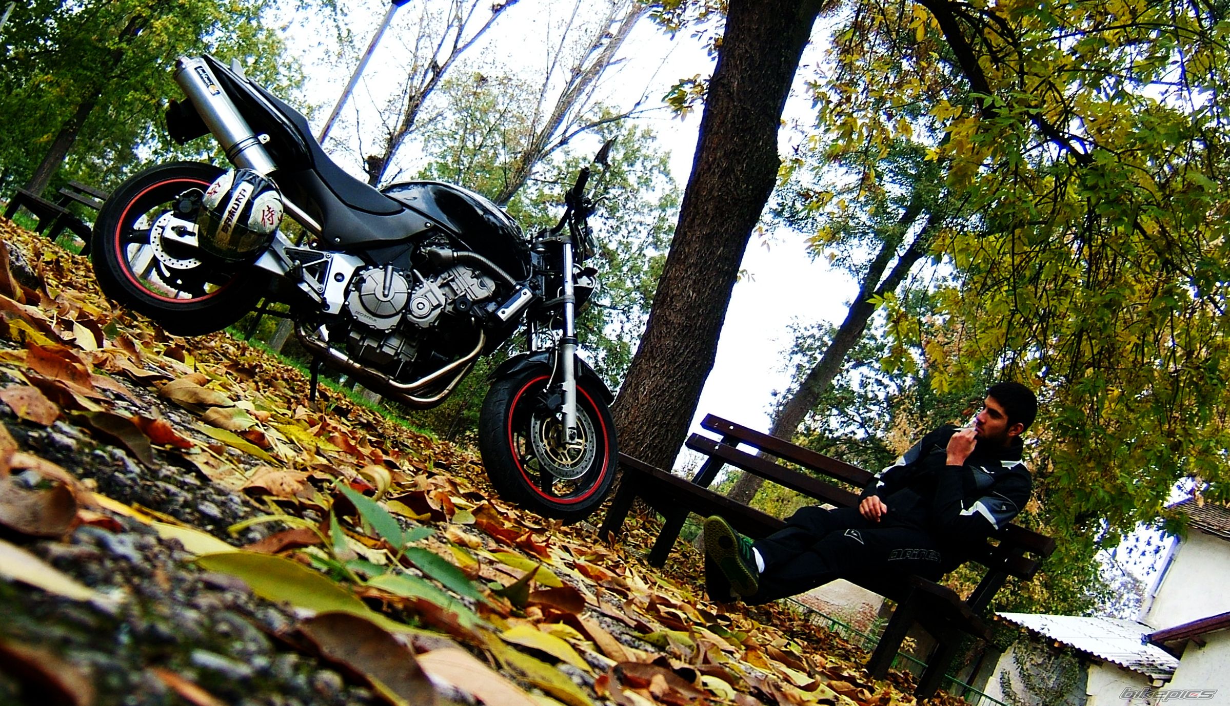 Photo 2293890