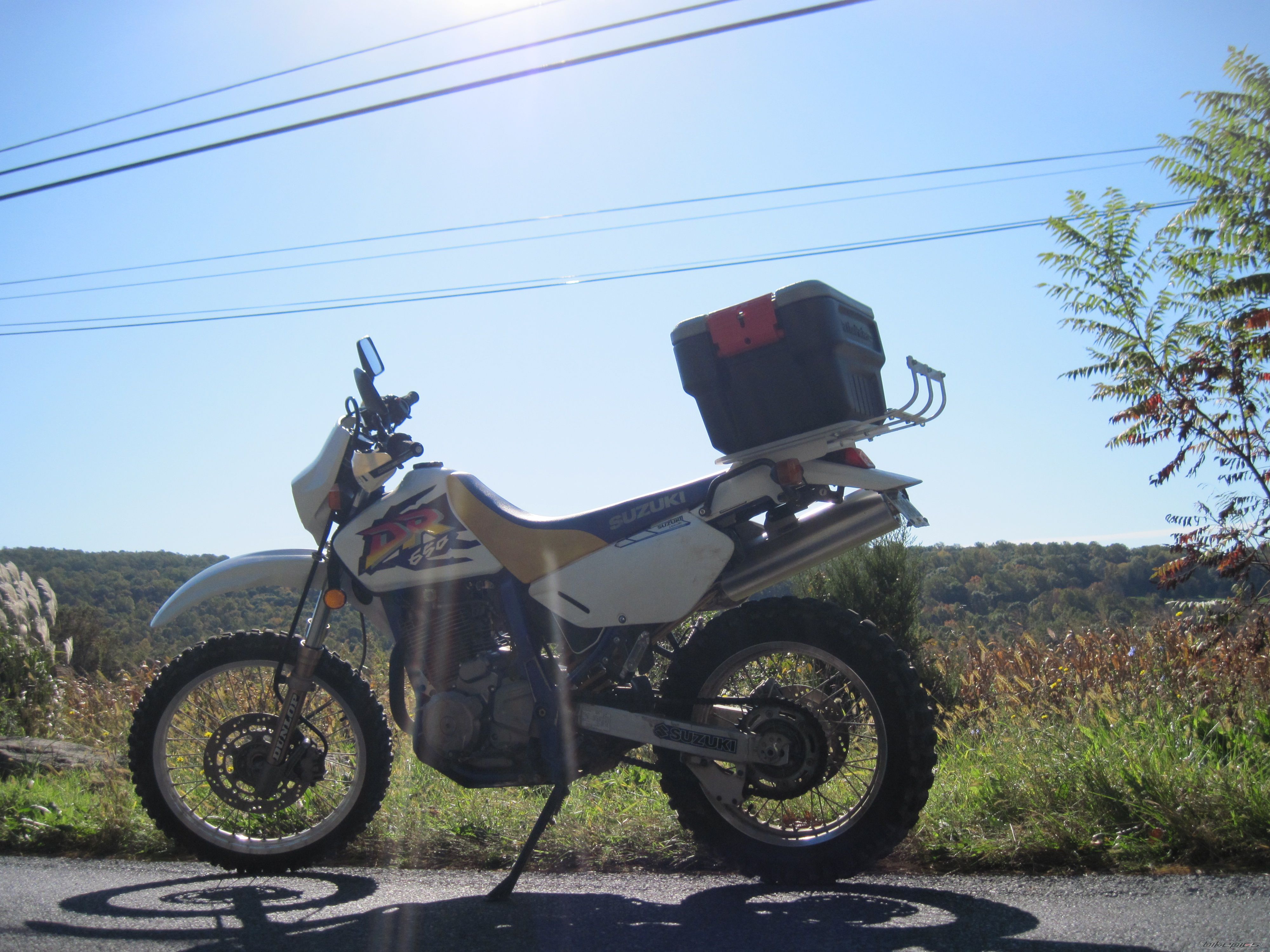 Photo 2293905