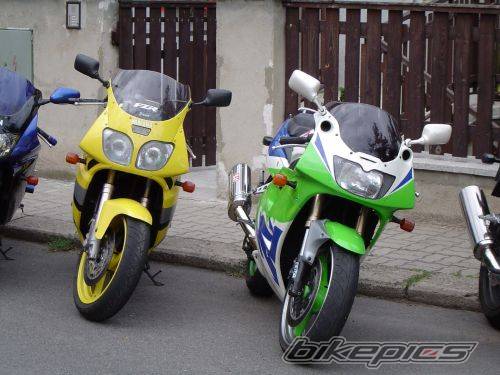 Photo 229391
