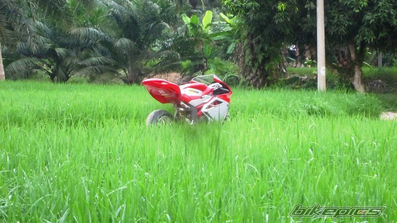 Photo 2293933