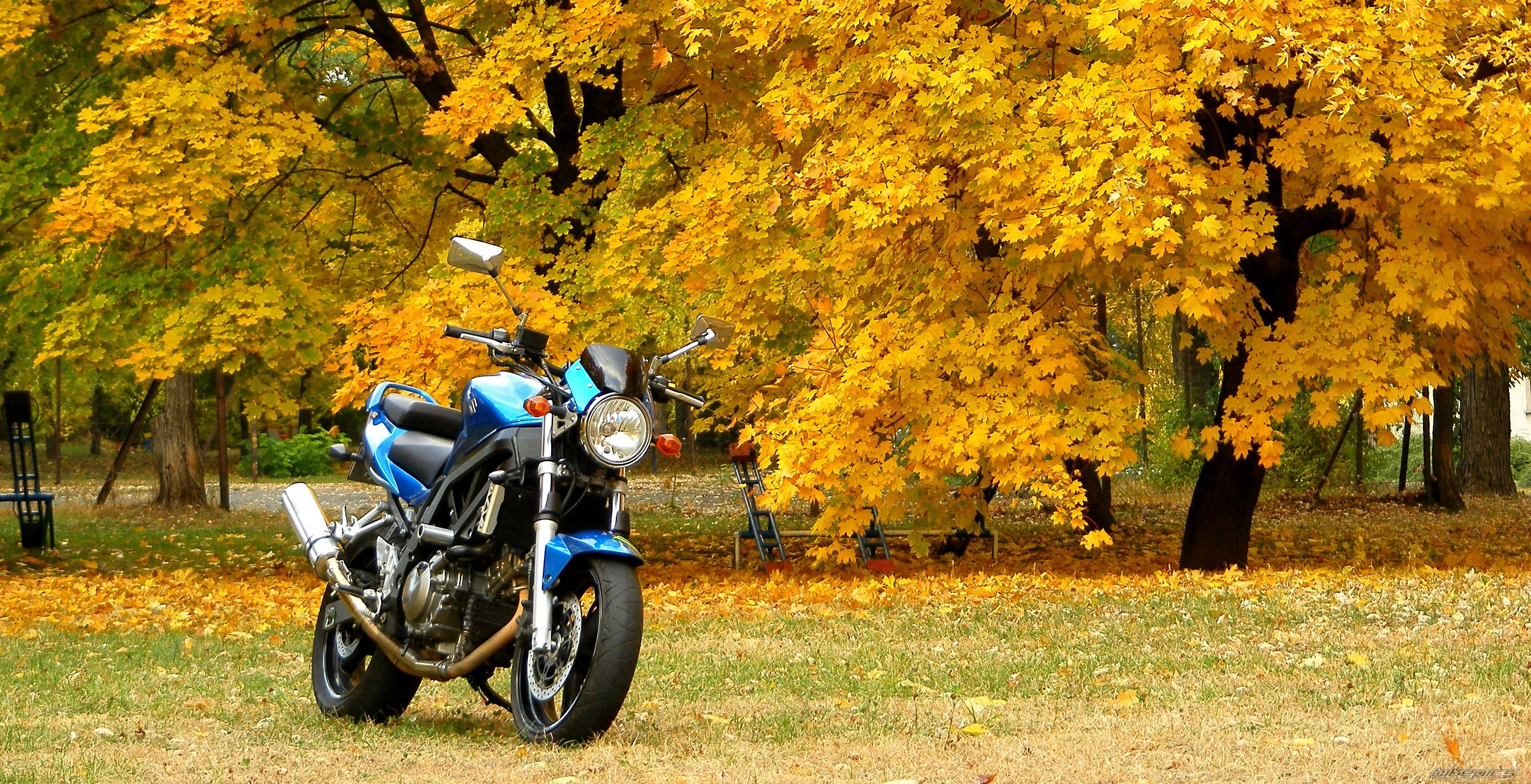 Bike Photo 2293963