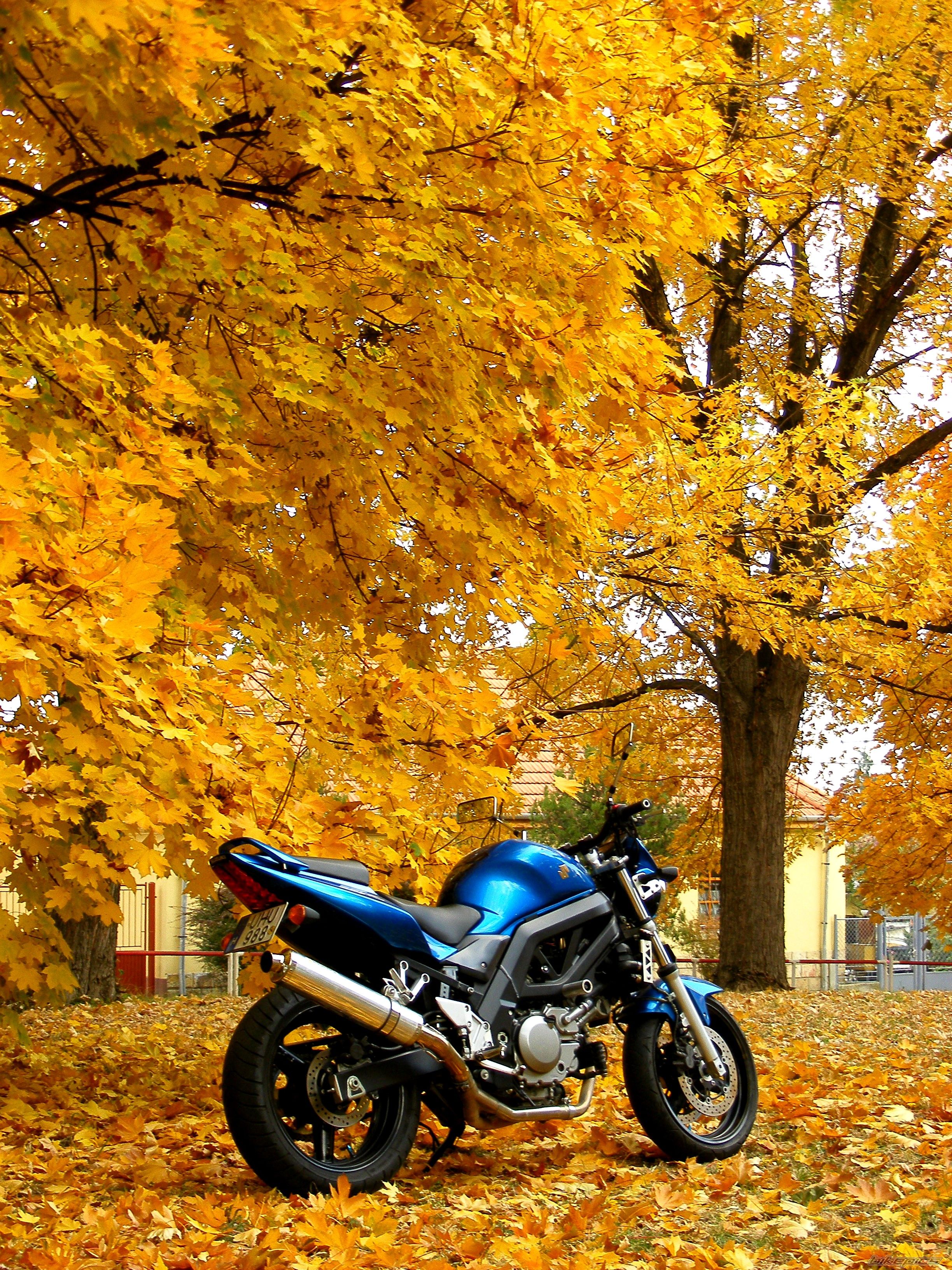 Bike Photo 2293964