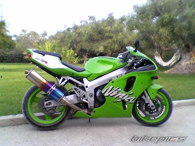 Photo 229404