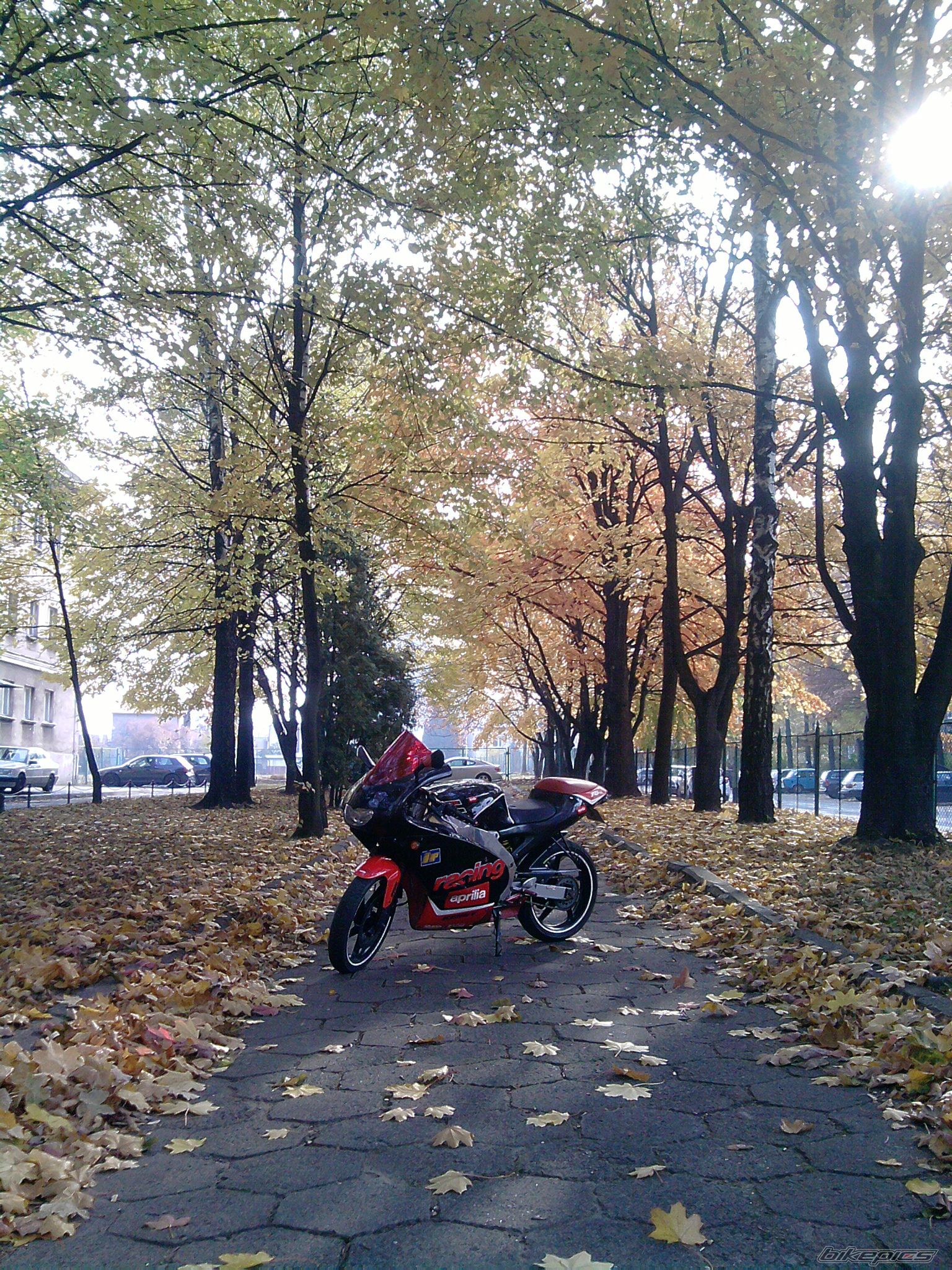 Photo 2294042