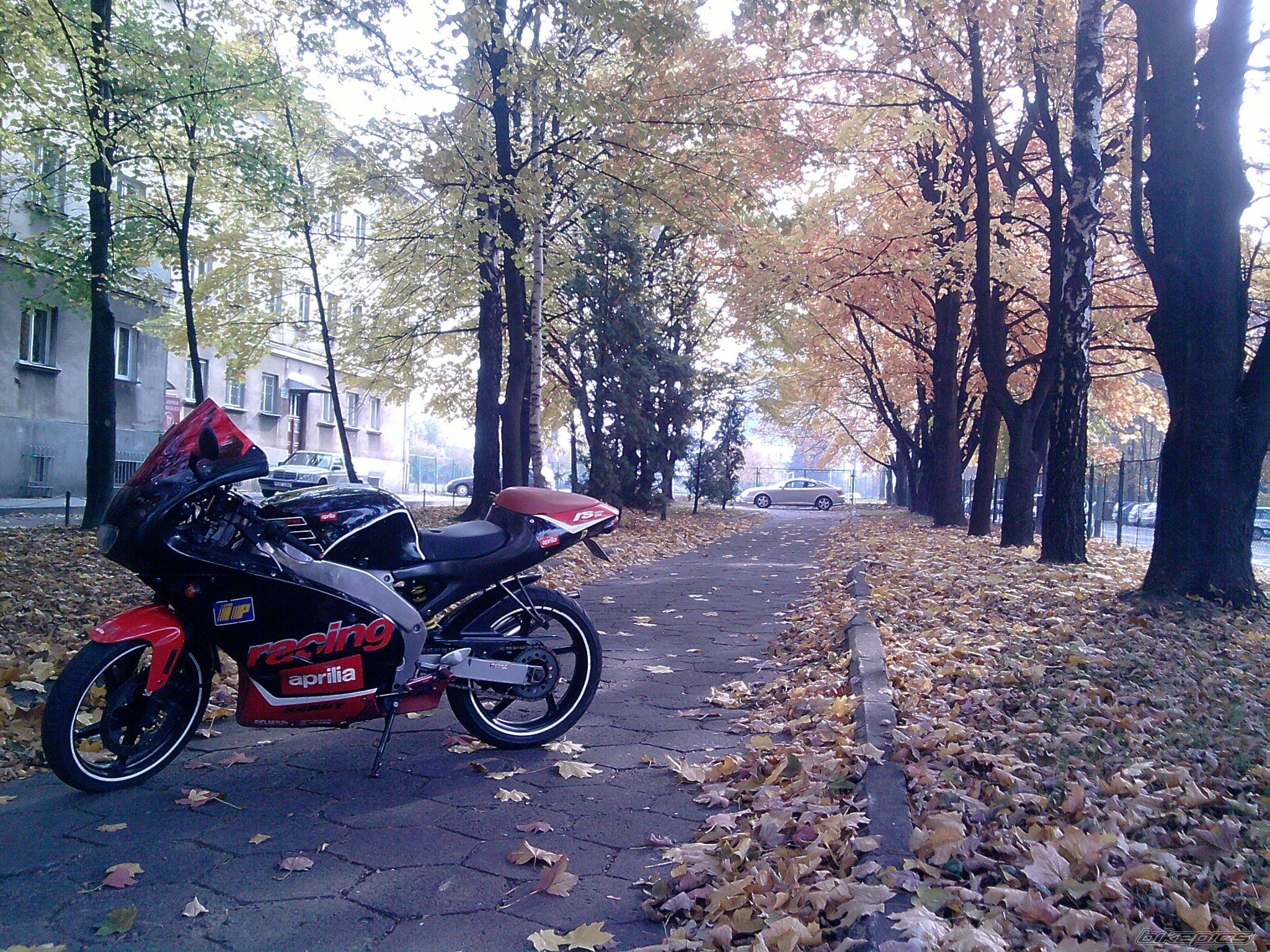 Bike Photo 2294044
