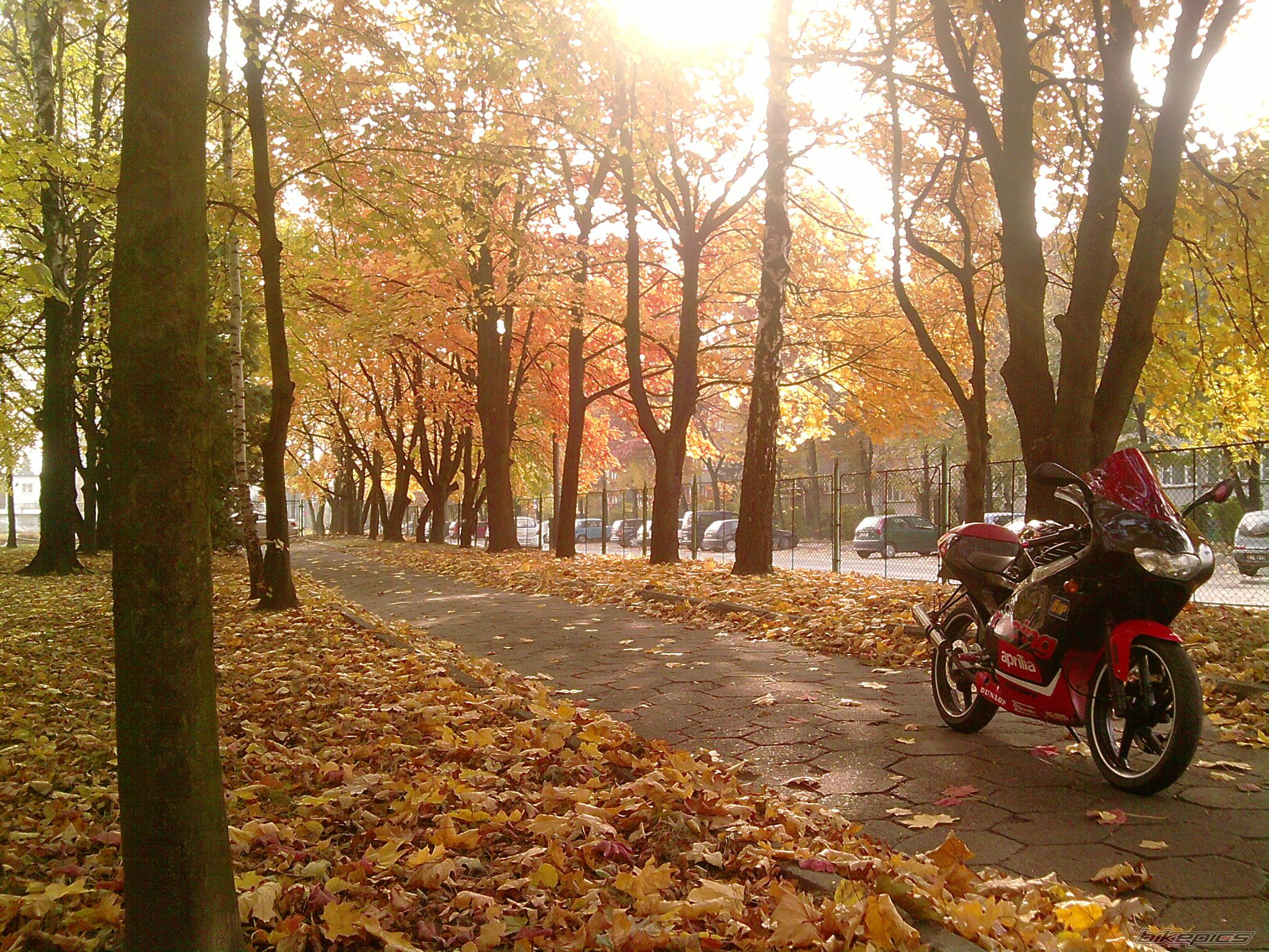 Bike Photo 2294046