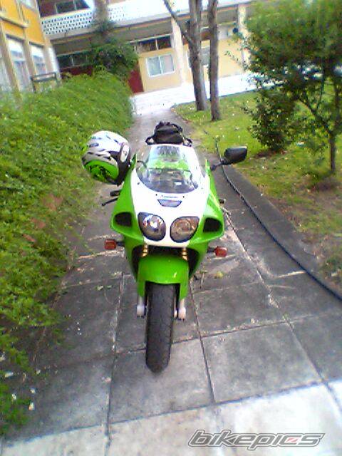 Photo 229407