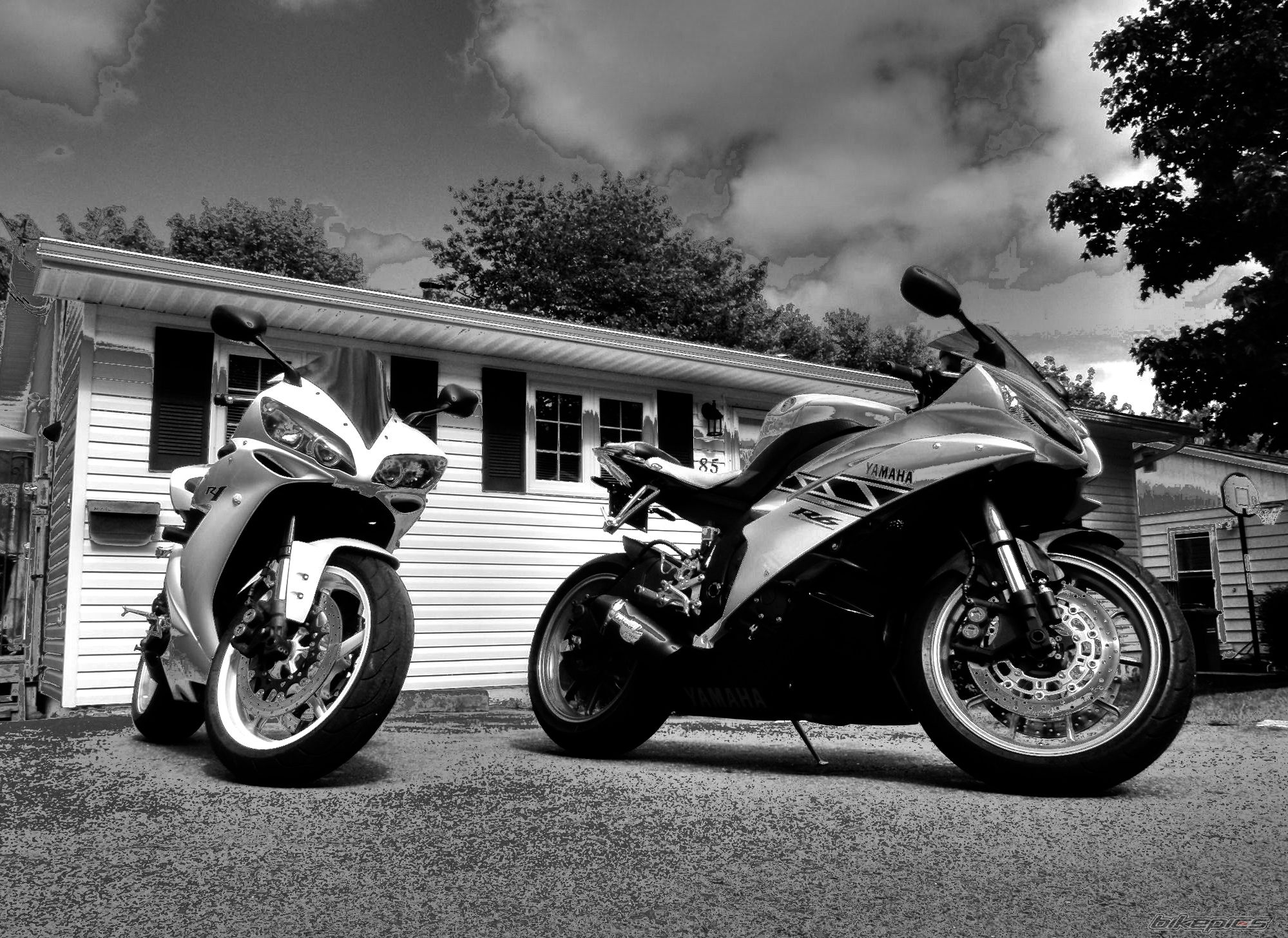 Photo 2294190
