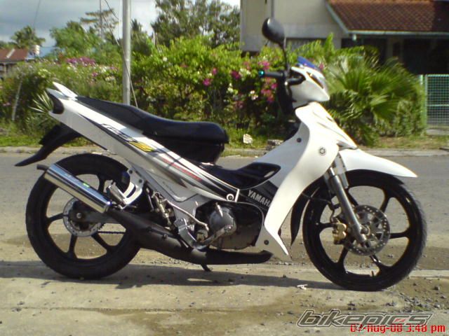 Photo 2294248