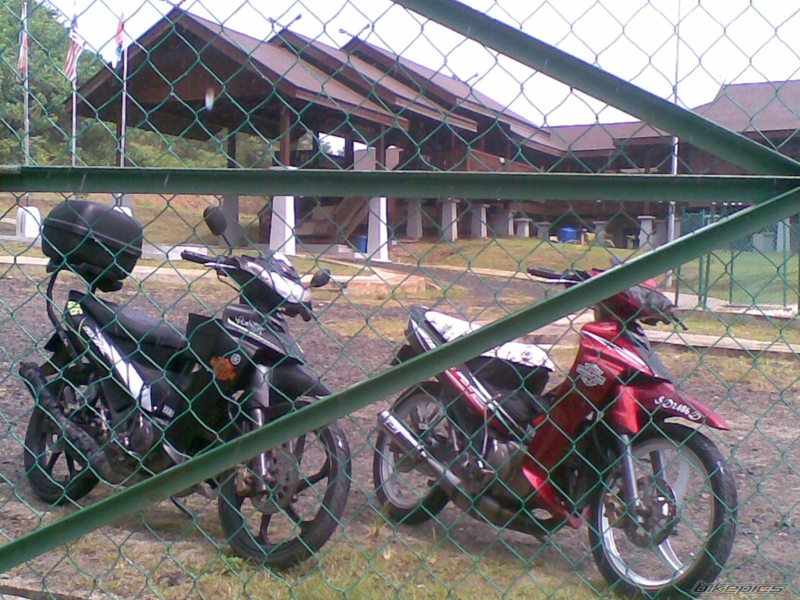 Photo 2294260