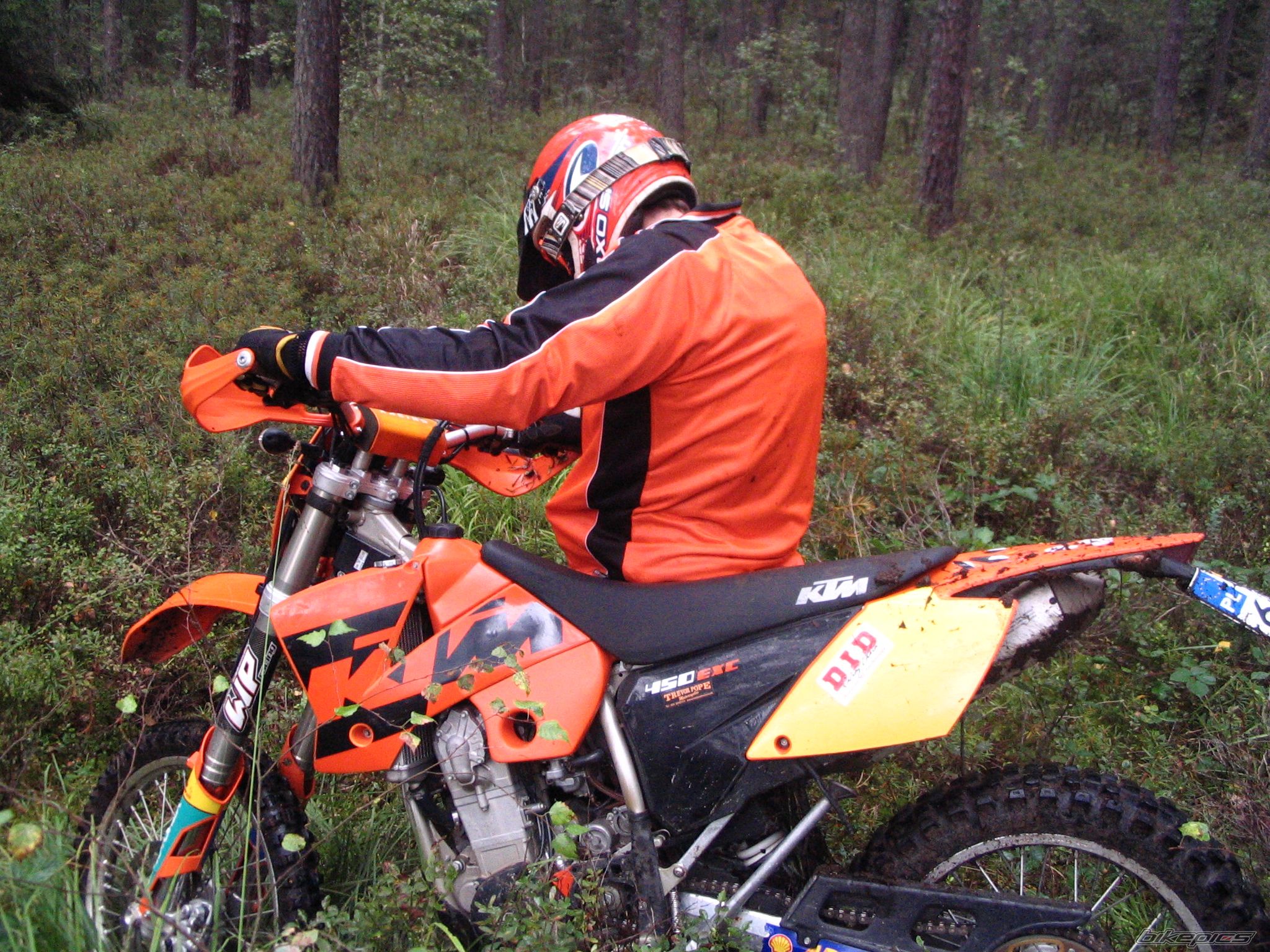 Photo 2294319