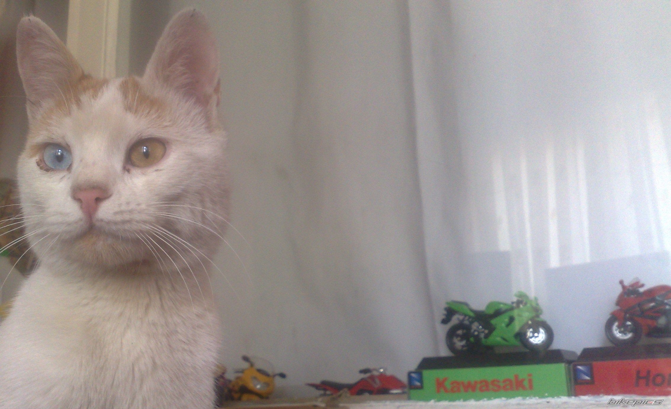 Photo 2294321